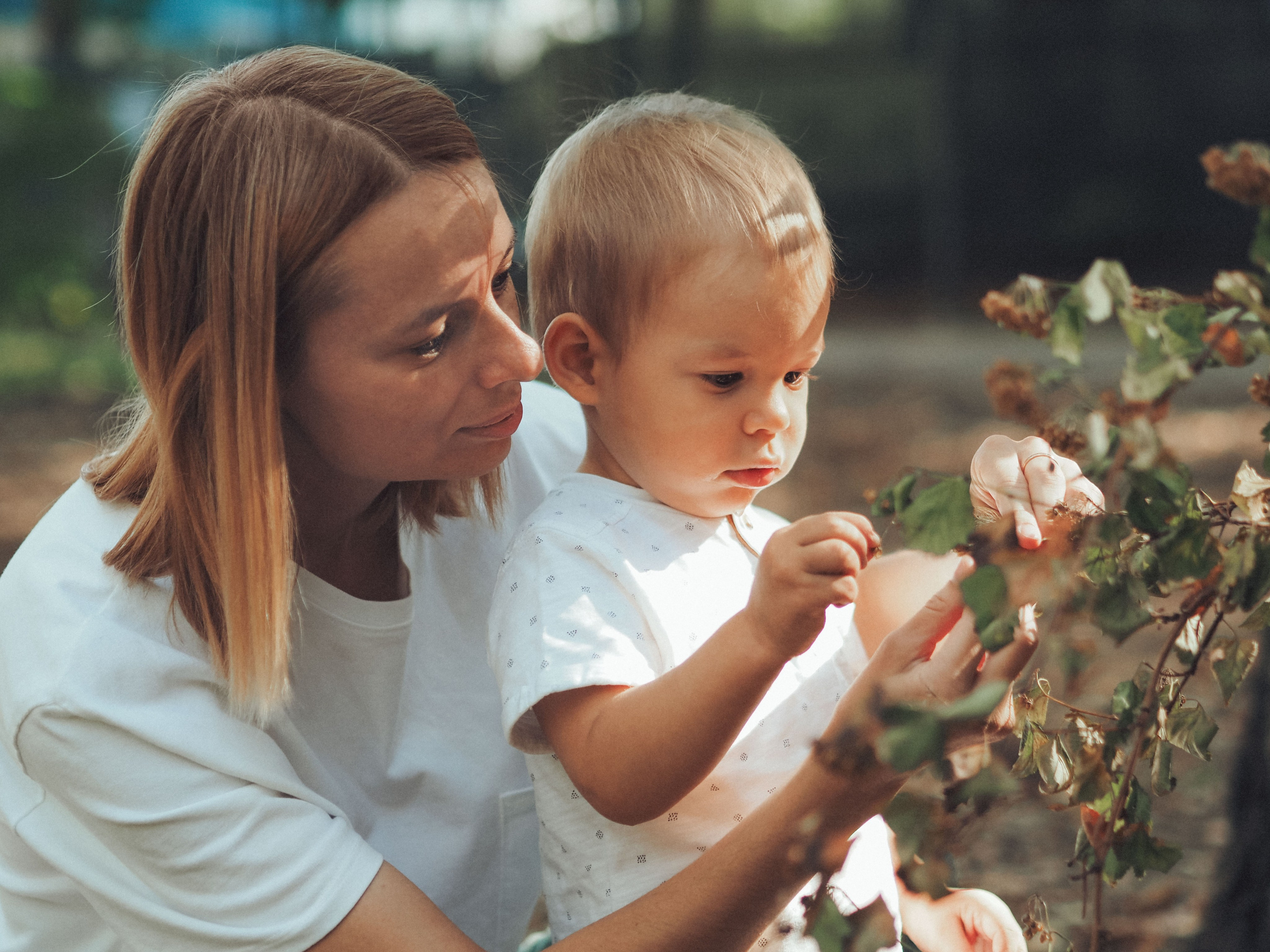 Привет осень!. Фотограф в Москве — Сергей Люкшинов