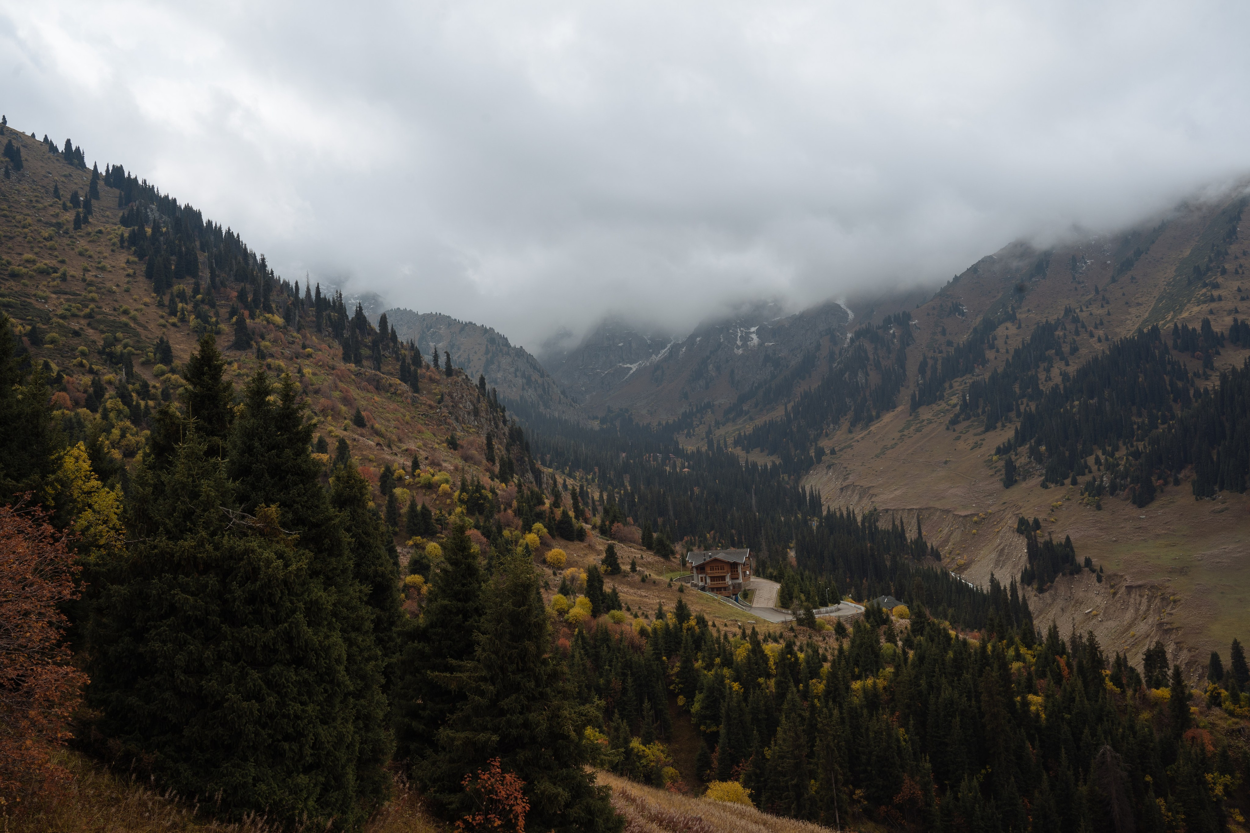 Вершины сердец. Свадебный фотограф Диана Грицай