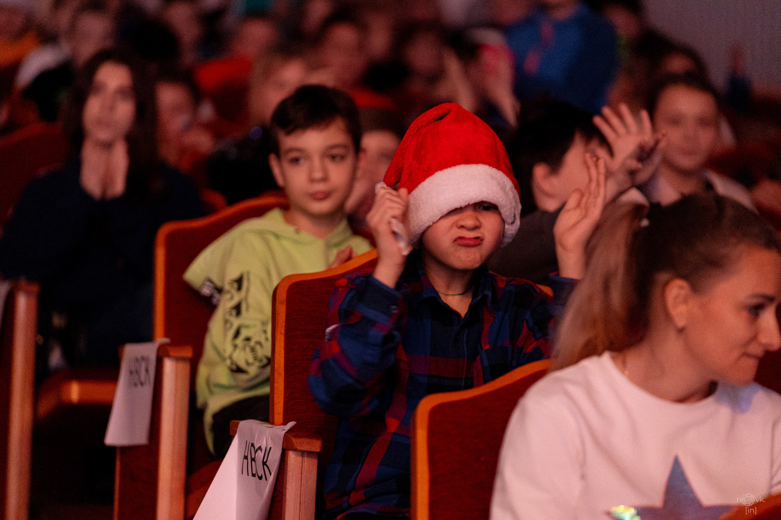 Ёлка. ФОТОГРАФ ИВАН НОВИКОВ | СТАВРОПОЛЬ