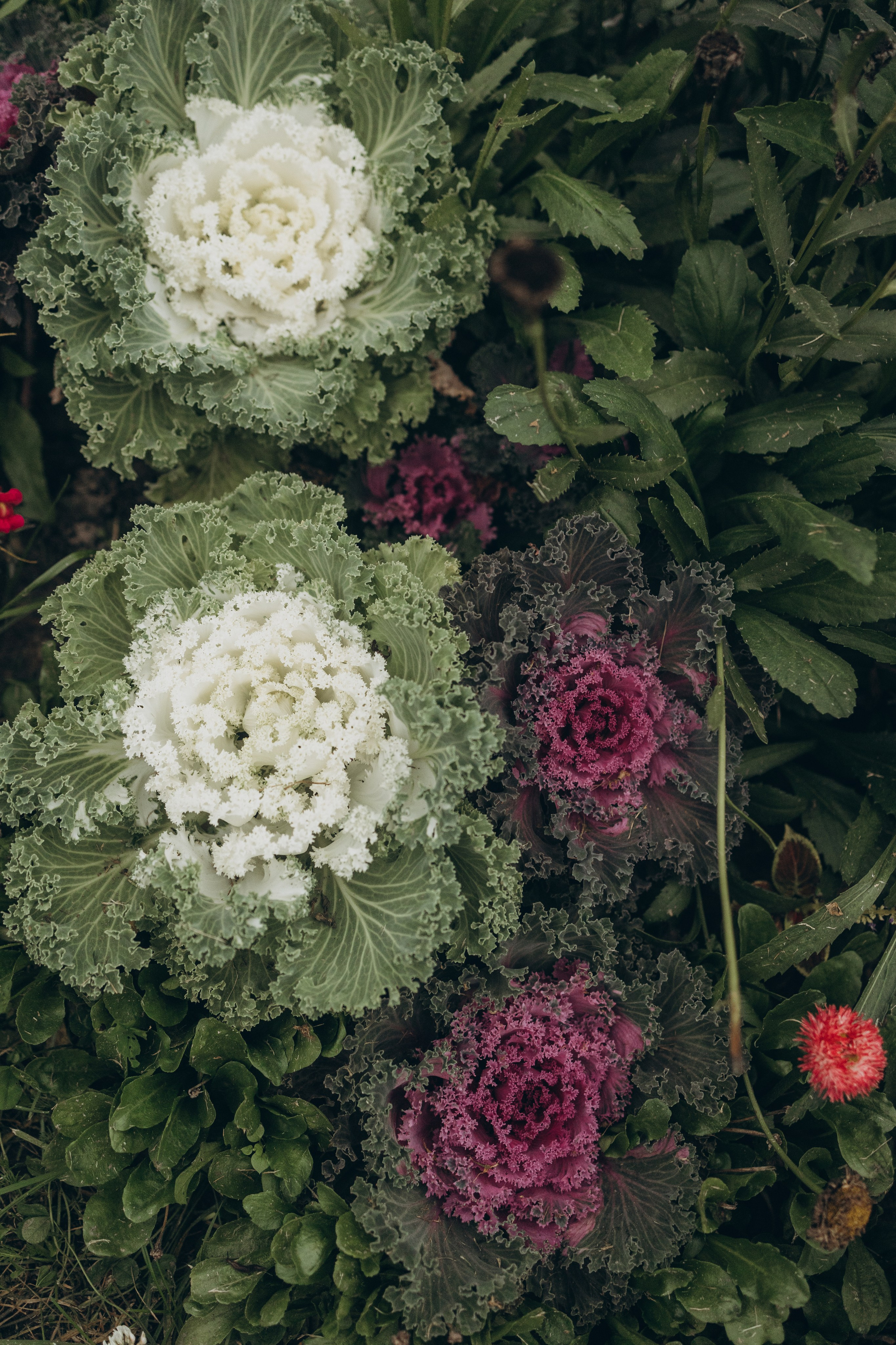 Мария, Олег и Серафима. Семейный фотограф в Москве Виктория Ястребинская