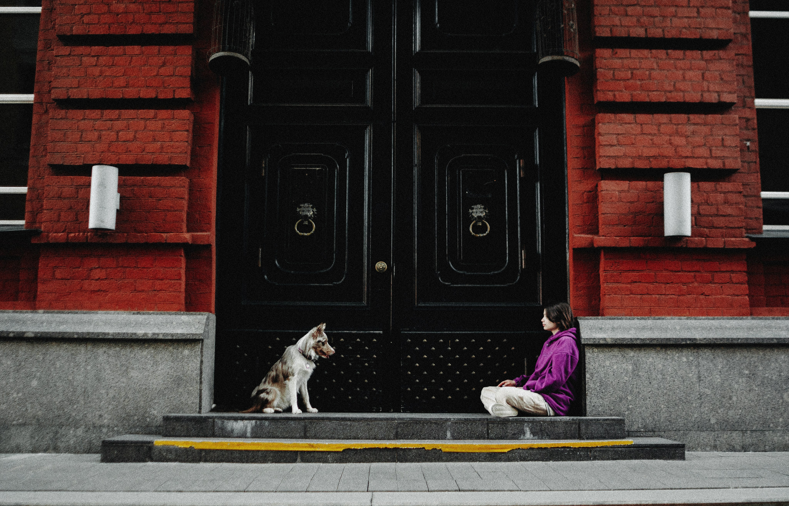 Аня и Дэймон. Фотограф-анималист Богданова Полина