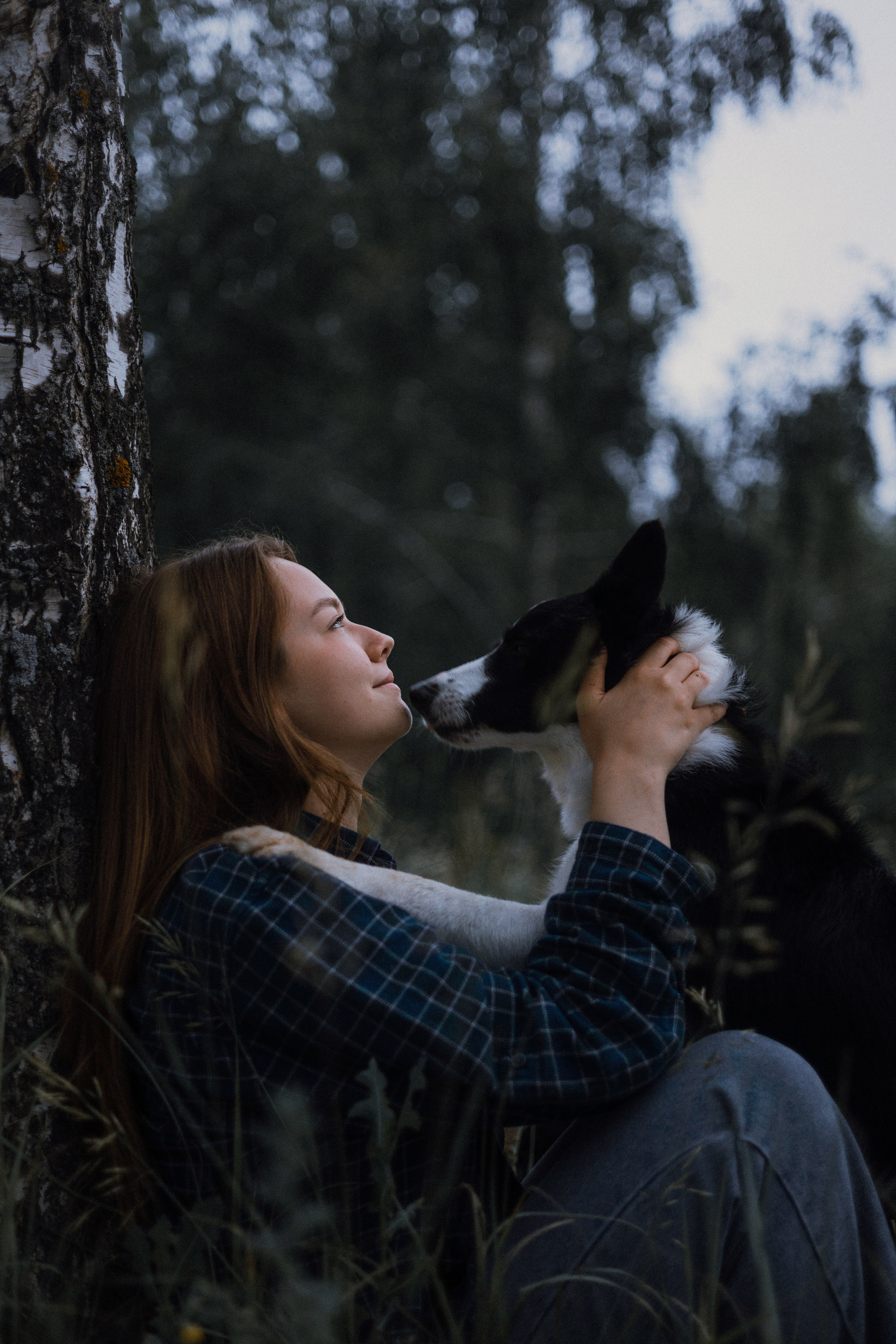 Аделя, Вандер, Шайна и Бая. Фотограф-анималист Богданова Полина