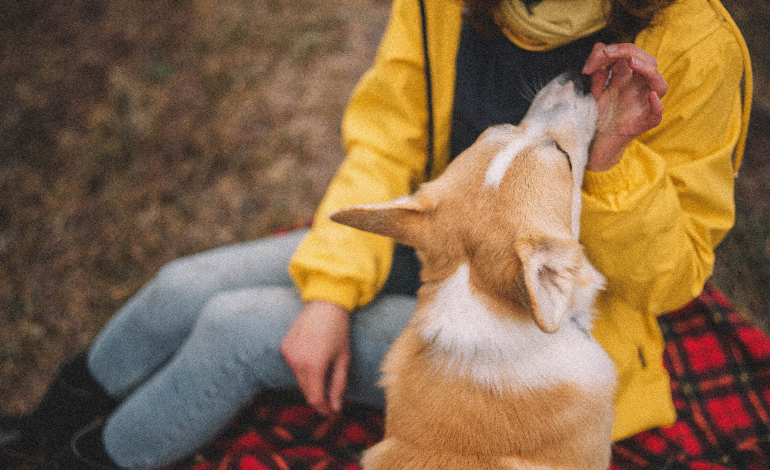Юля и барри. Фотограф-анималист Богданова Полина