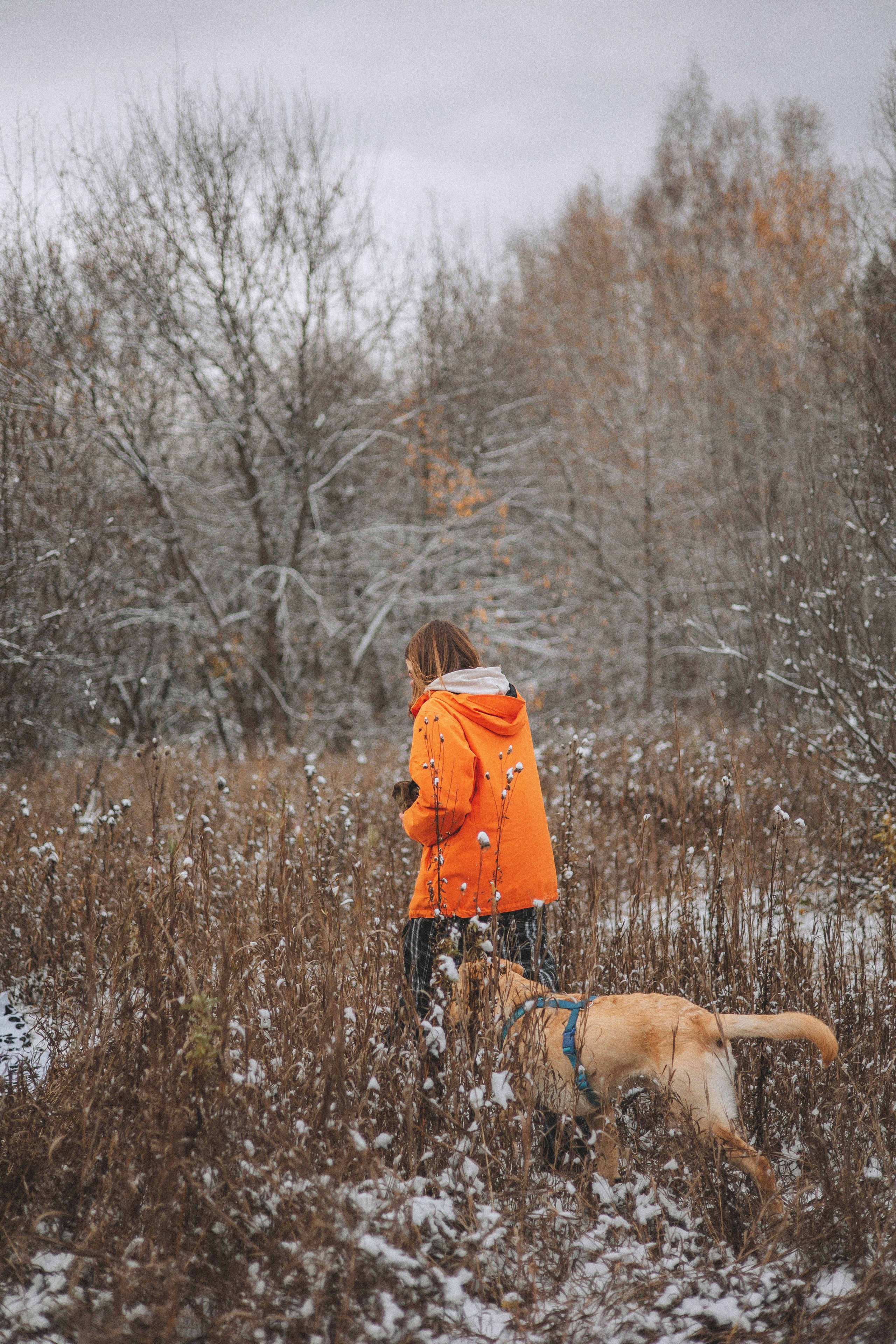 Маргарита и Варди. Фотограф-анималист Богданова Полина