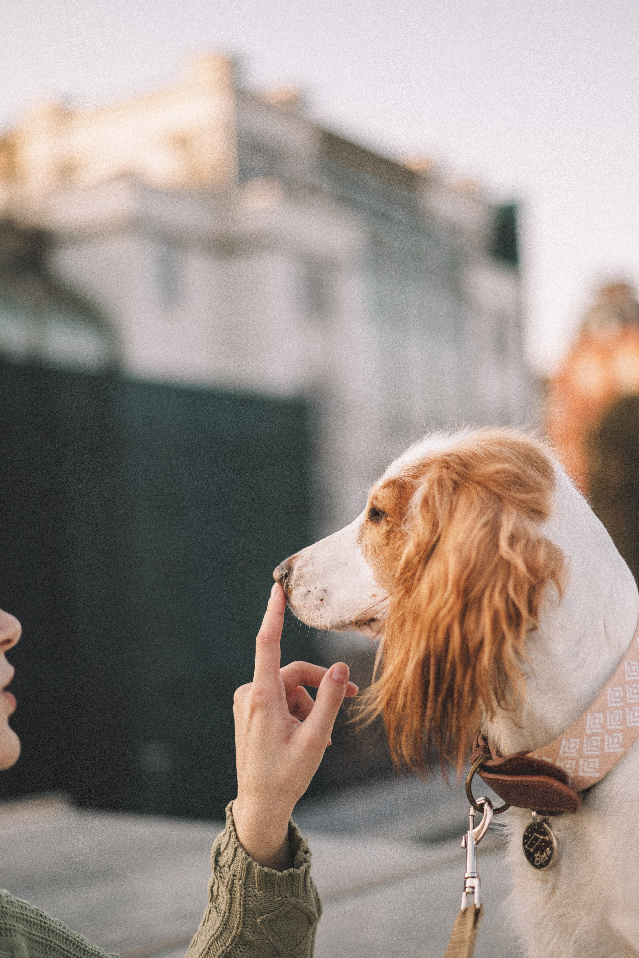 Маша и Вега. Фотограф-анималист Богданова Полина