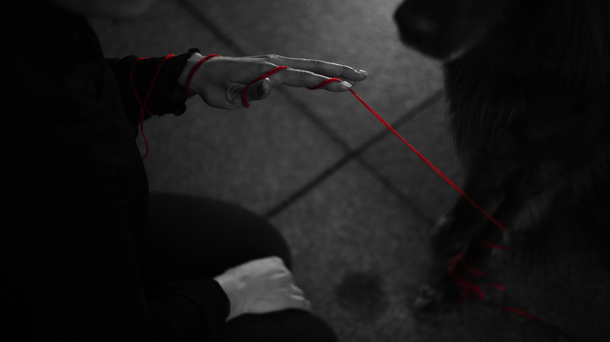 Маша и Лика. Фотограф-анималист Богданова Полина