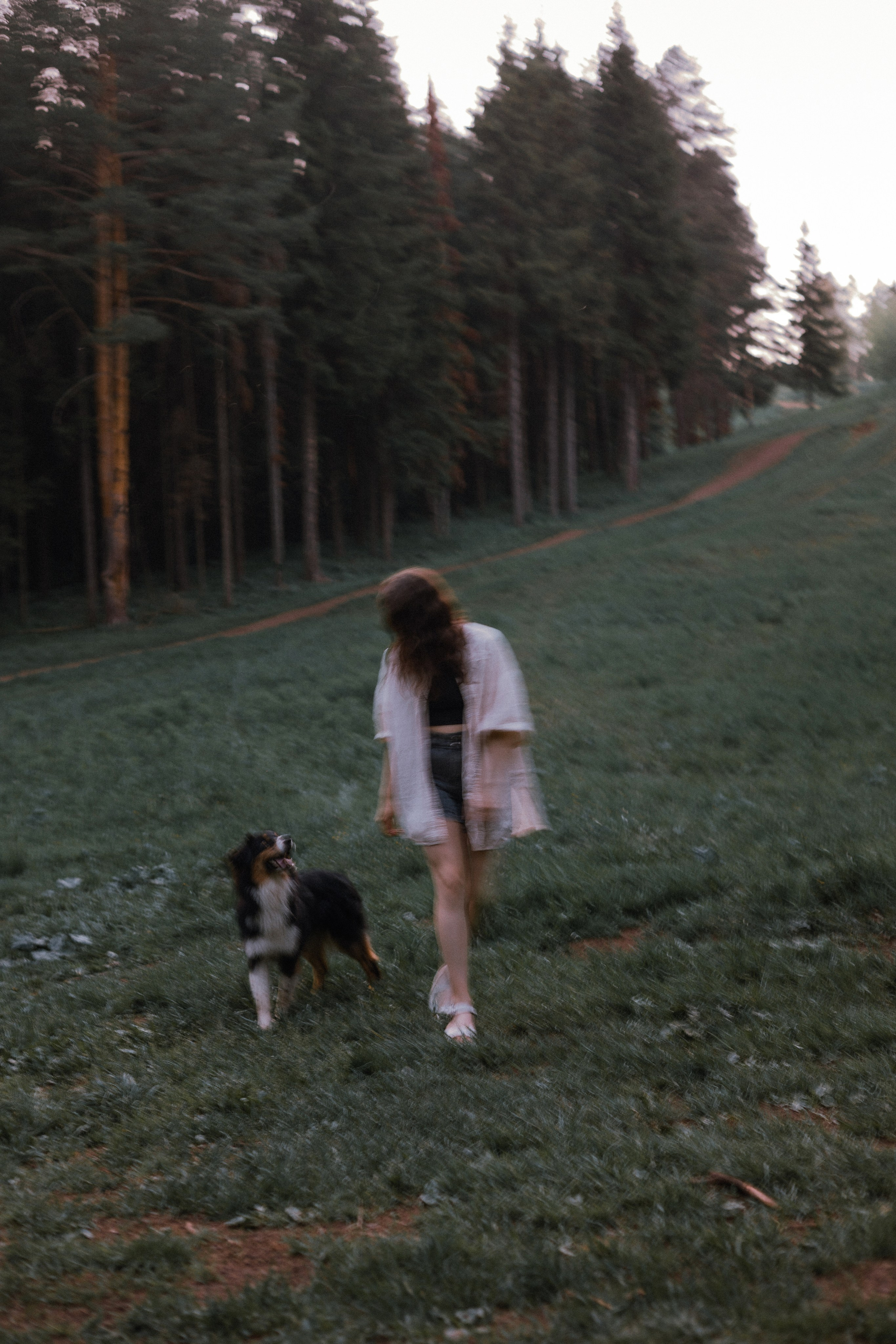 Настя, Шуня, Милка и Тигуан. Фотограф-анималист Богданова Полина