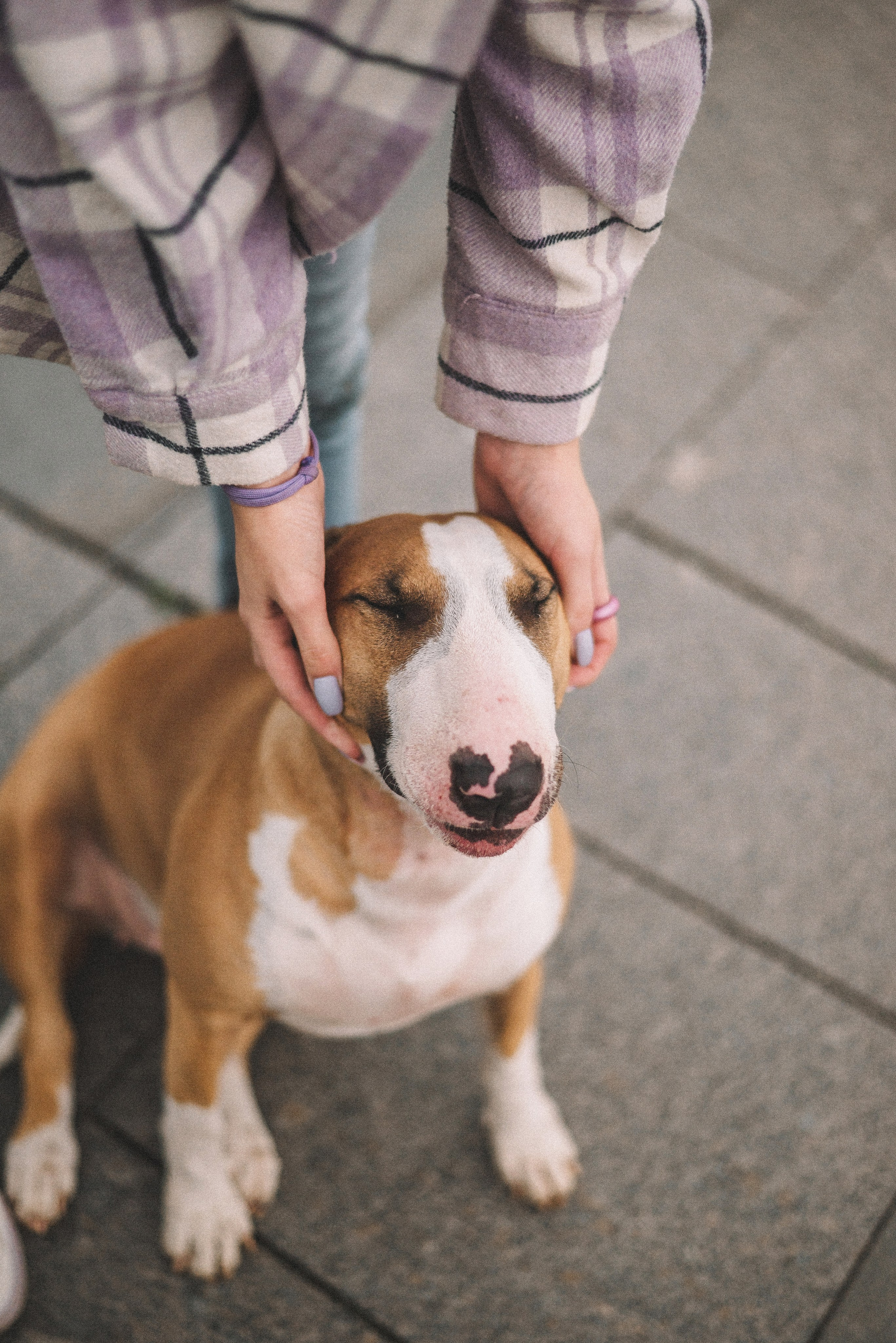 Маша и Рулька. Фотограф-анималист Богданова Полина
