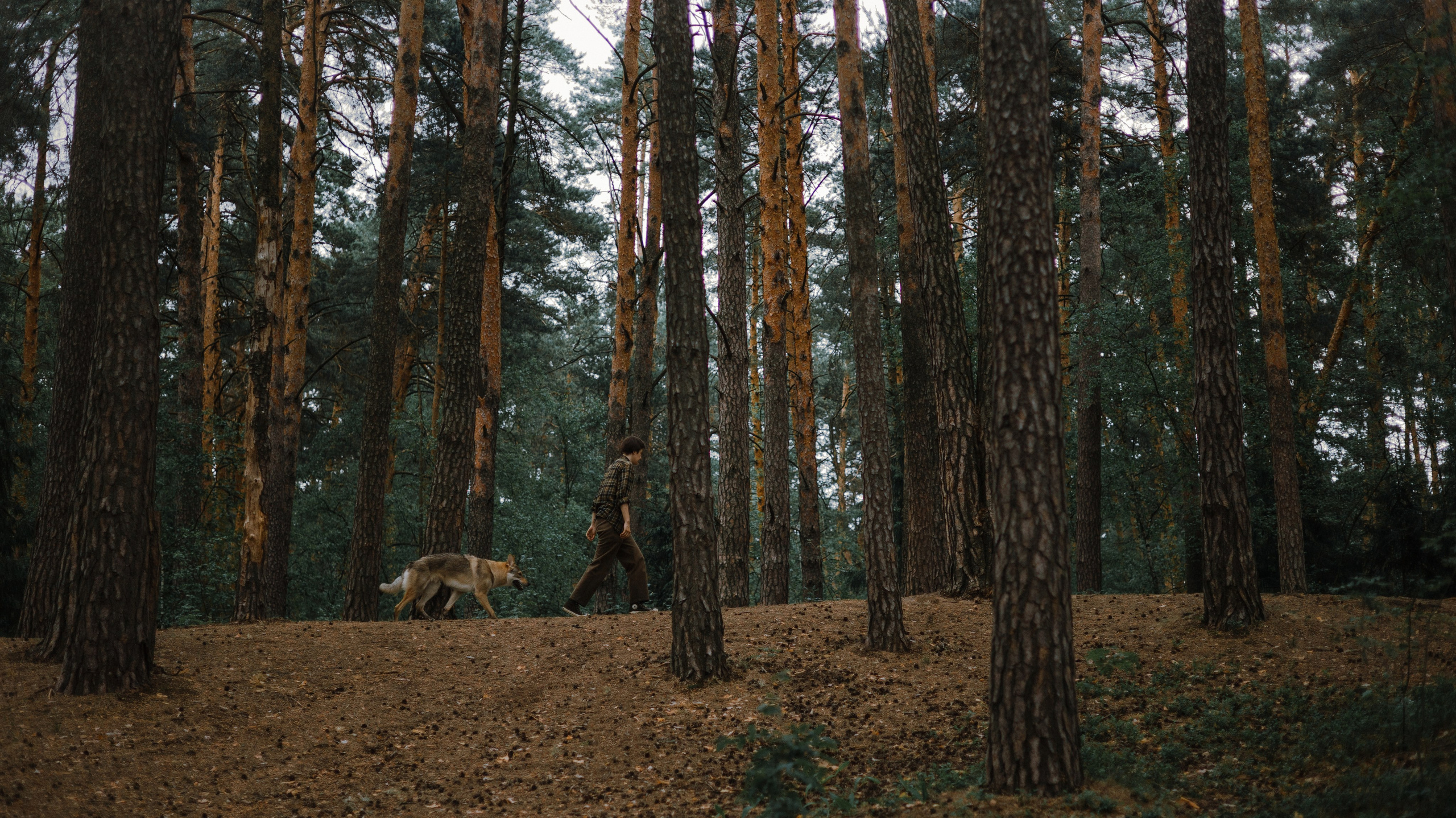 Маша и Дэрил. Фотограф-анималист Богданова Полина