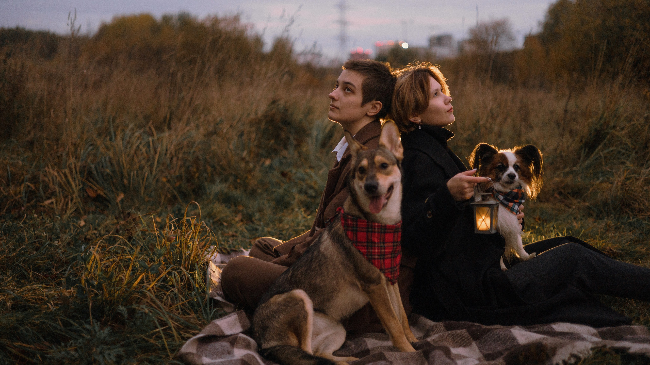 Маша, Катя, Астрид и Мася. Фотограф-анималист Богданова Полина