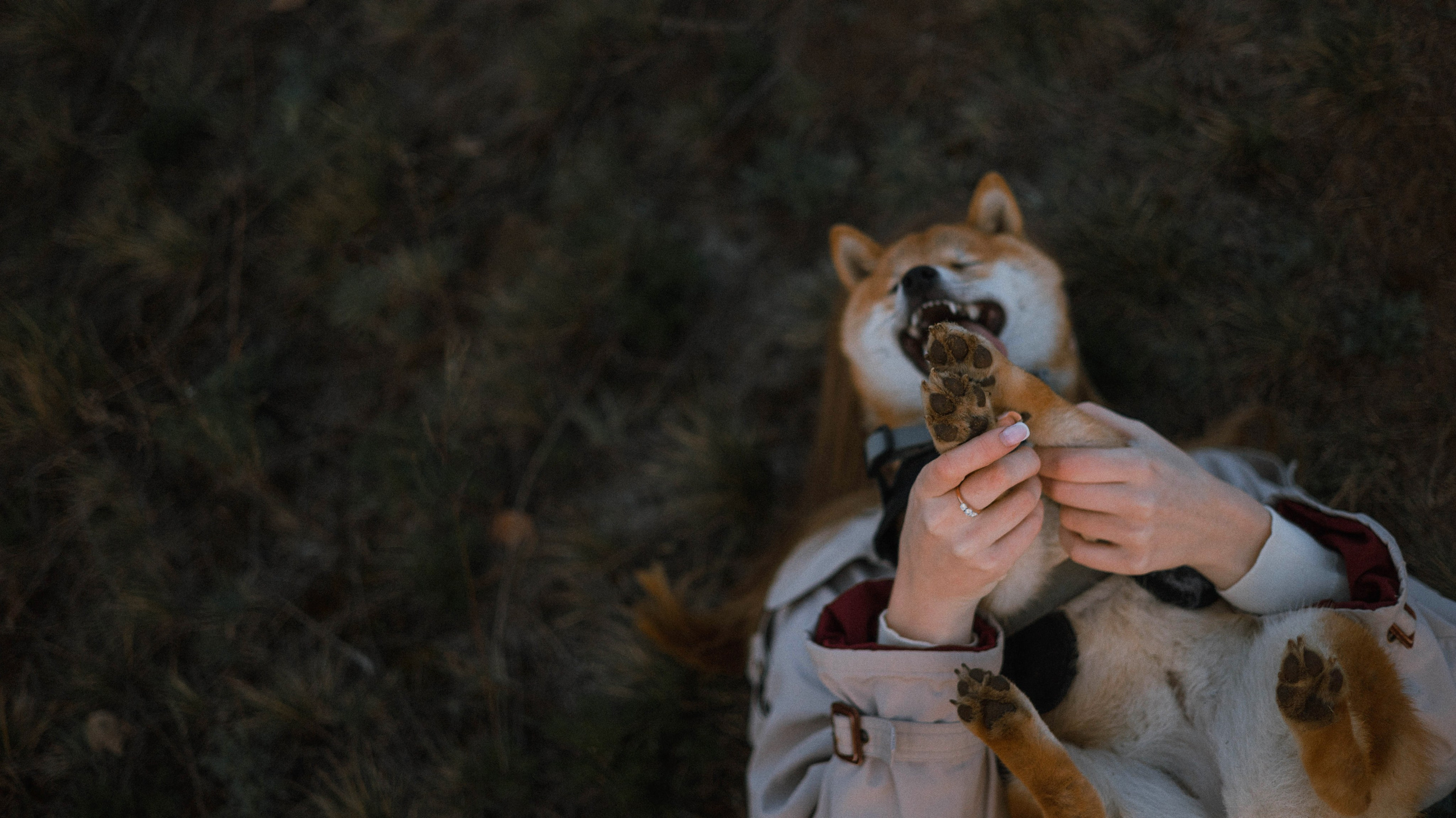 Аня и Шани. Фотограф-анималист Богданова Полина