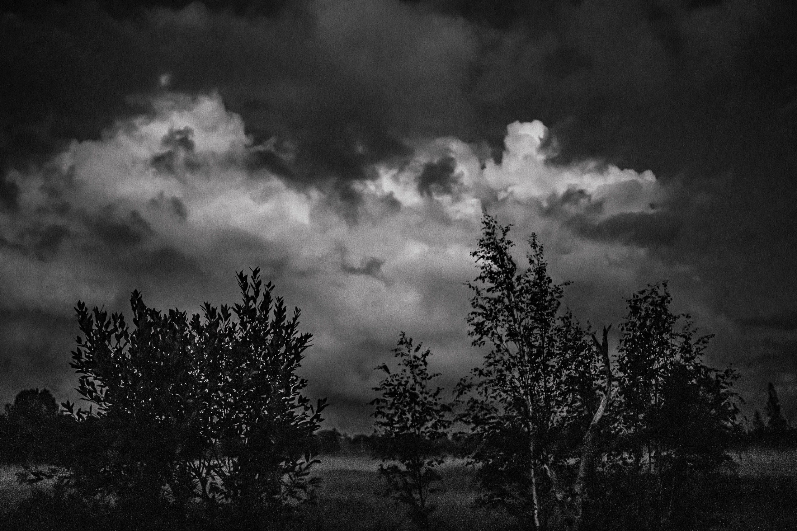 Ч.б. фотографии. Фотографии Лены Соколовой