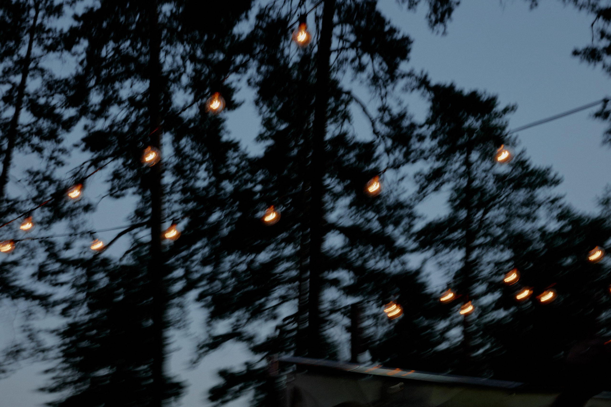 Лаймовое настроение. Фотограф Елена Краснопевцева