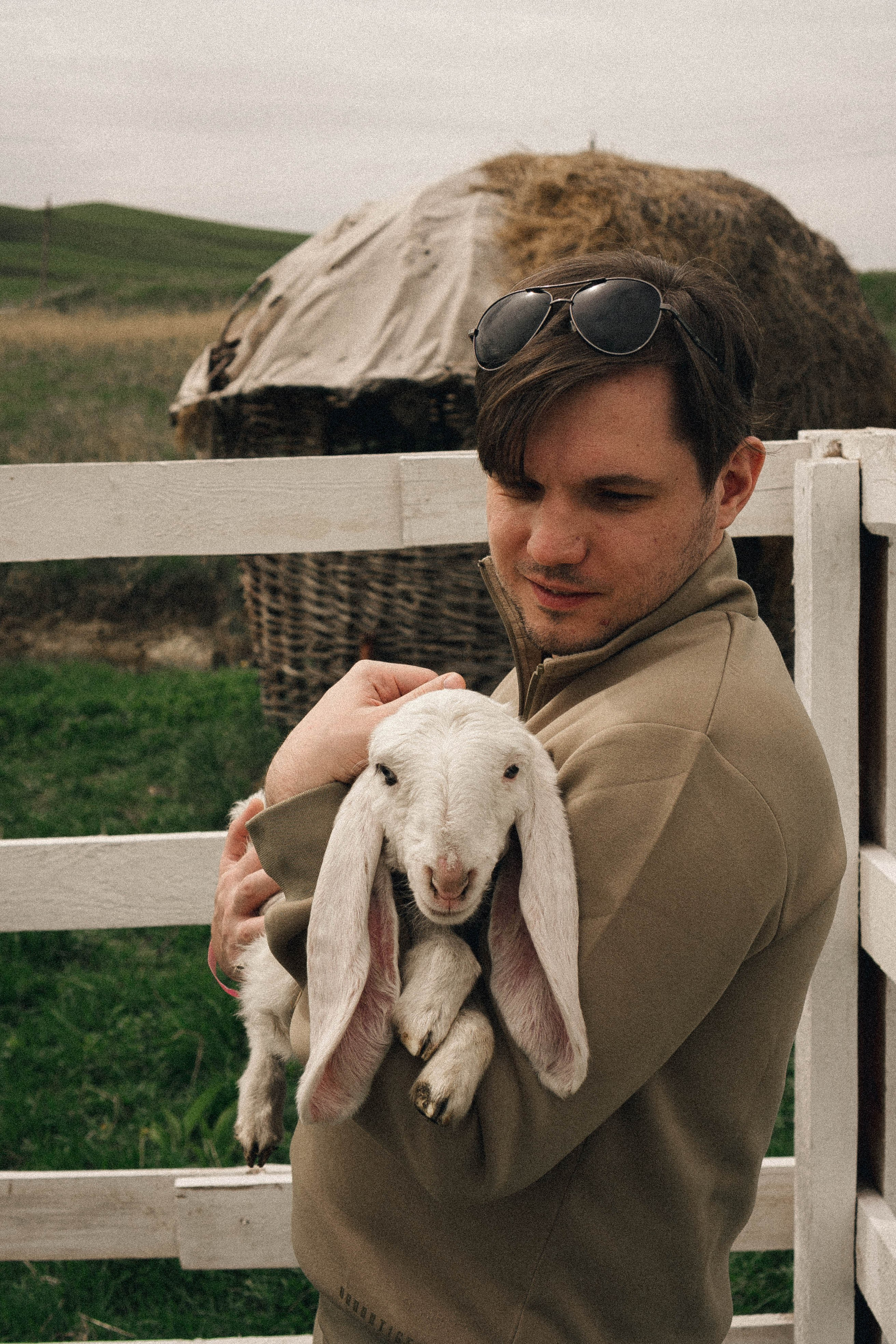Ферма Альпак. Профессиональный фотограф, Санкт-Петербург — Виктория Богомолова