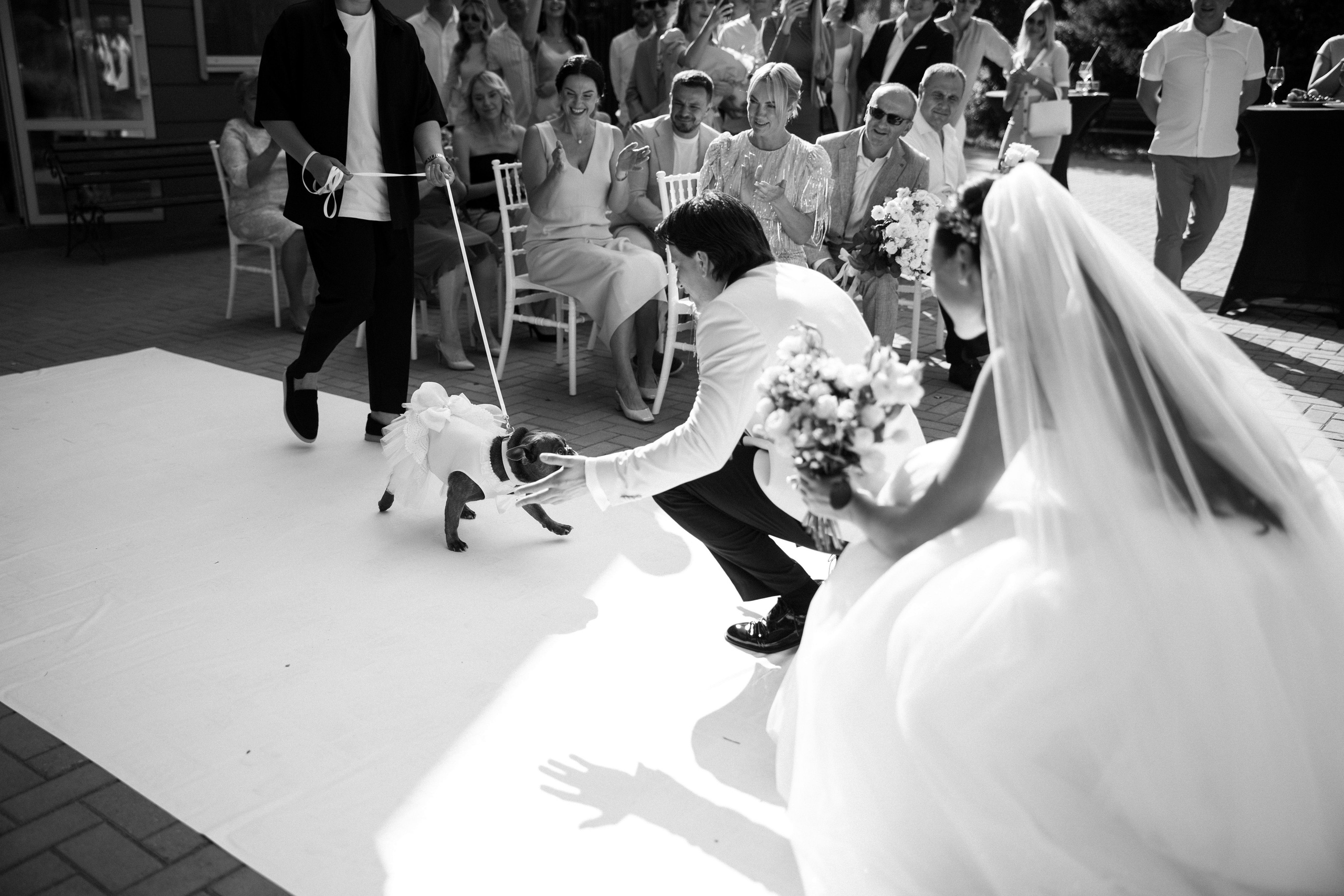 Никита + Настя. Свадебный фотограф в Смоленске Витя Лысенков