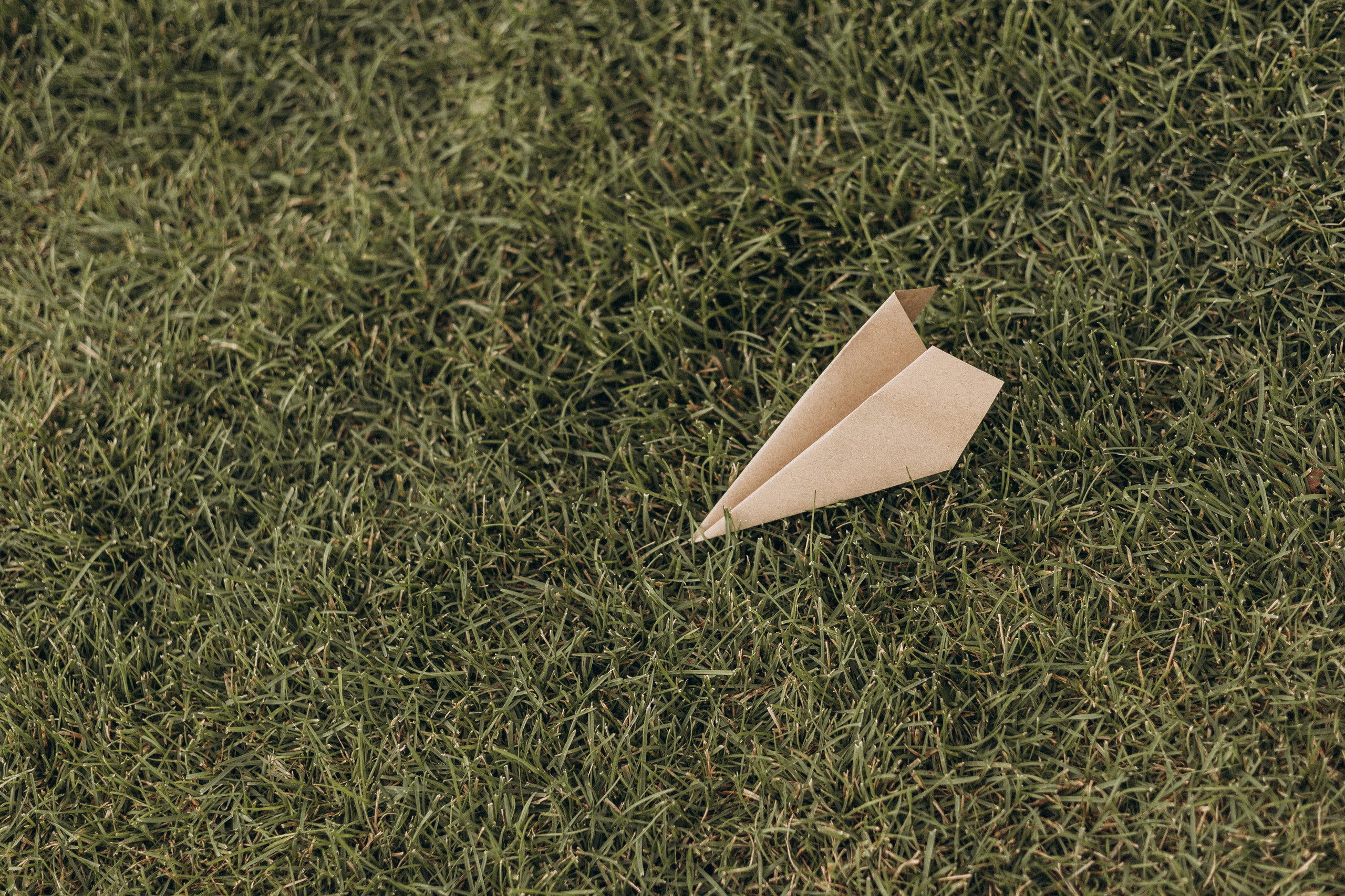 Артур, Вероника и Платон. Анастасия Шаповалова | Семейный фотограф