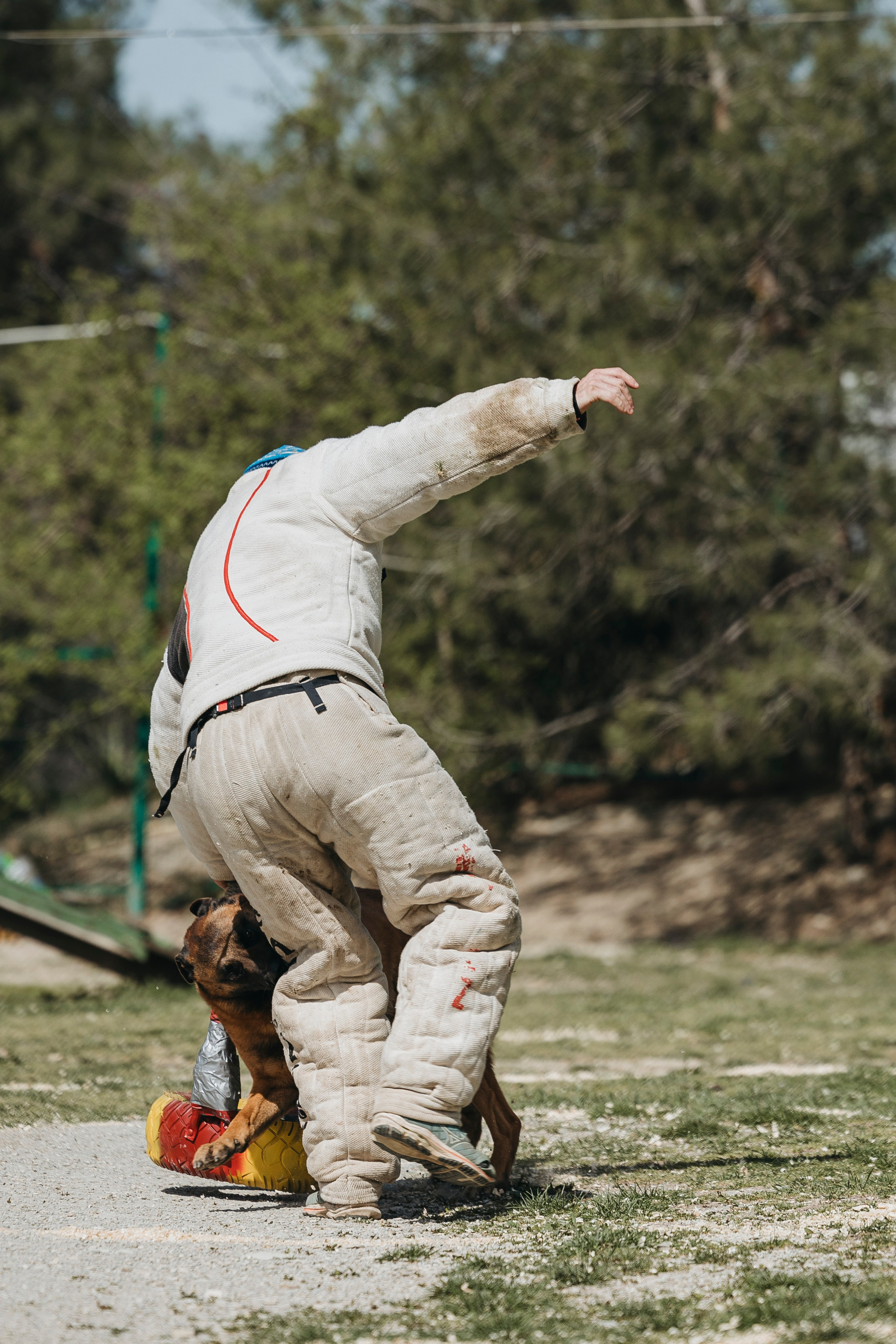 Геленджик Мондьоринг. Фотограф-анималист Анна Маринич