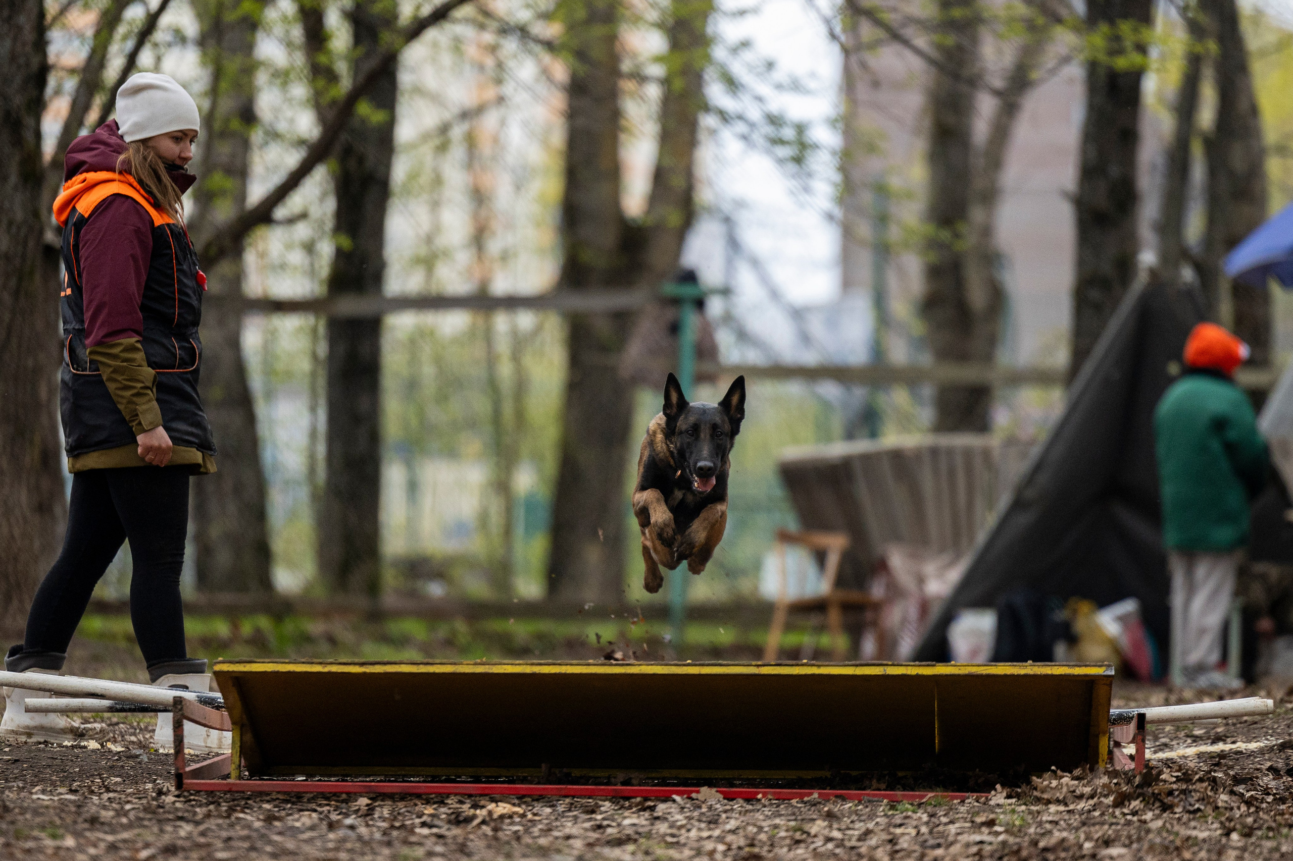 Квалификационные состязания по мондьорингу г. Вологда 11.05.24. Фотограф-анималист Анна Маринич