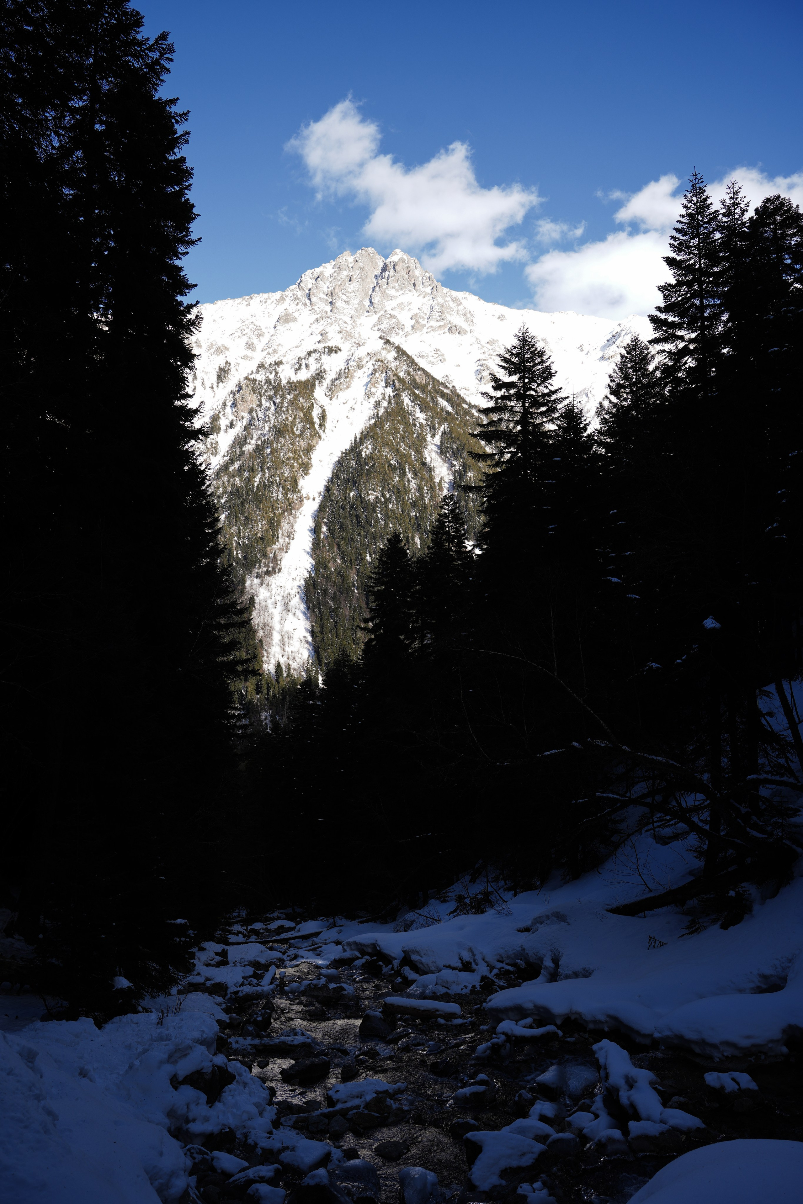 Кавказ. Анна Жукова — Режиссёр кино и цирка, сценарист, фотограф