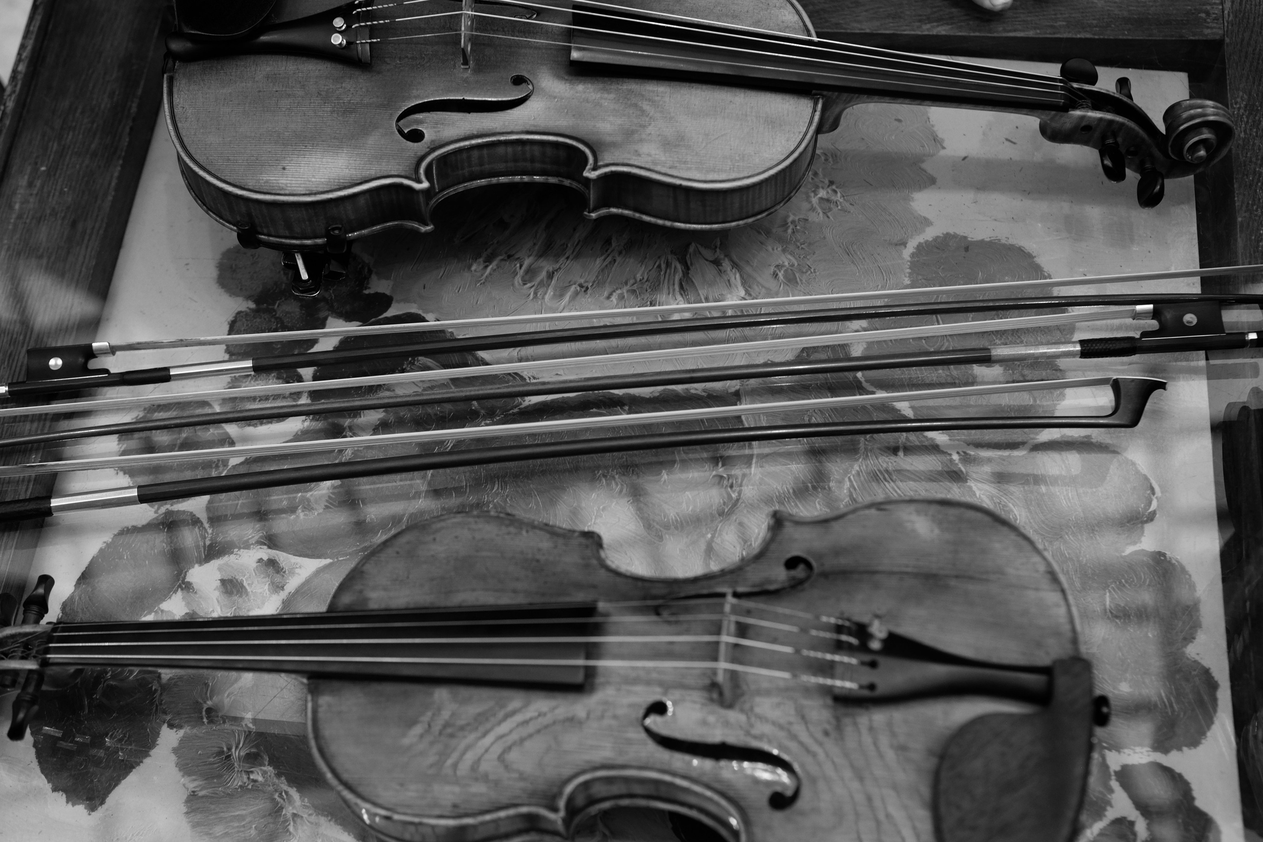 Classic music concerts at Cereteli`s Gallery/ Moscow/ 2023. Anna Fedo Photo