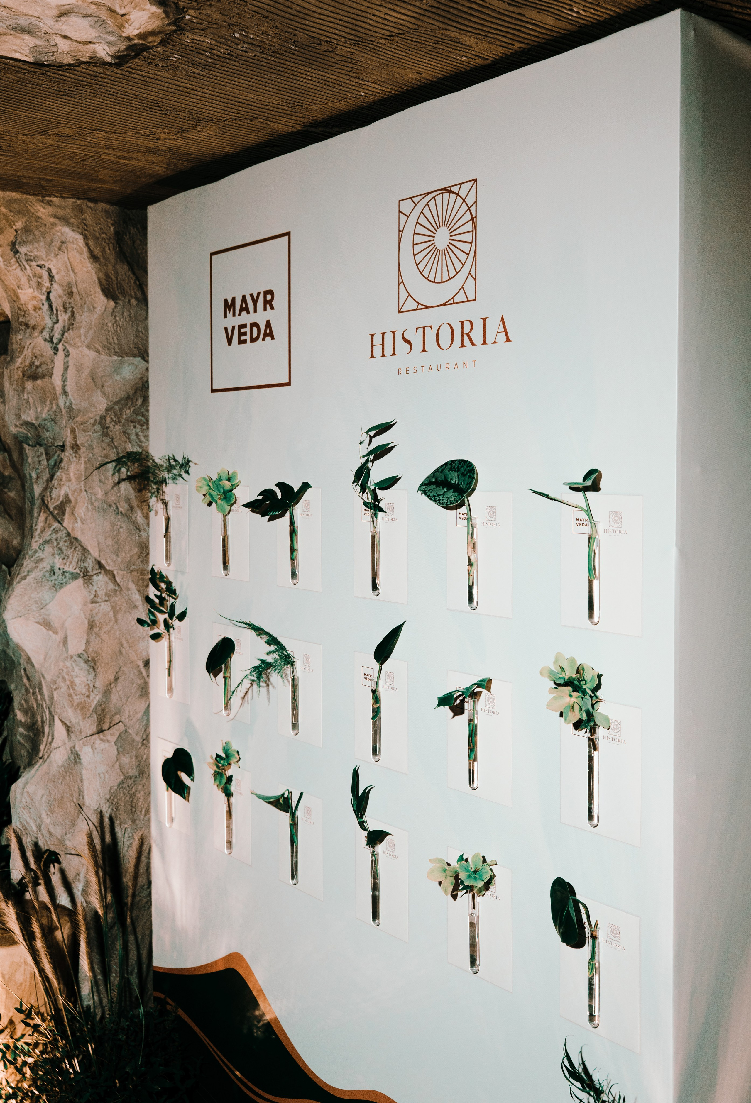 MAYR VEDA. Yankovski_001