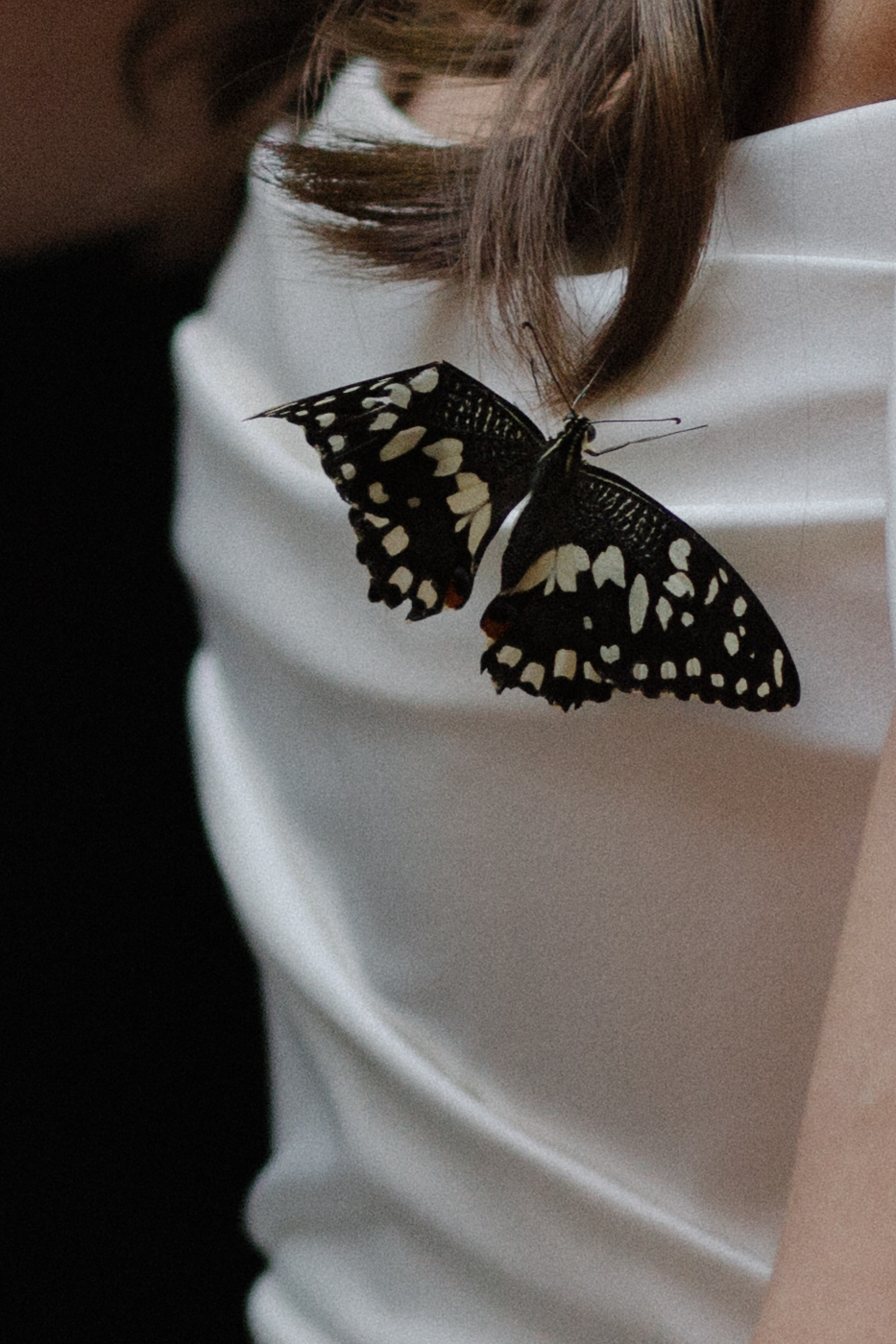 Крылья бабочки. Фотограф Диана Хасанова, г. Казань