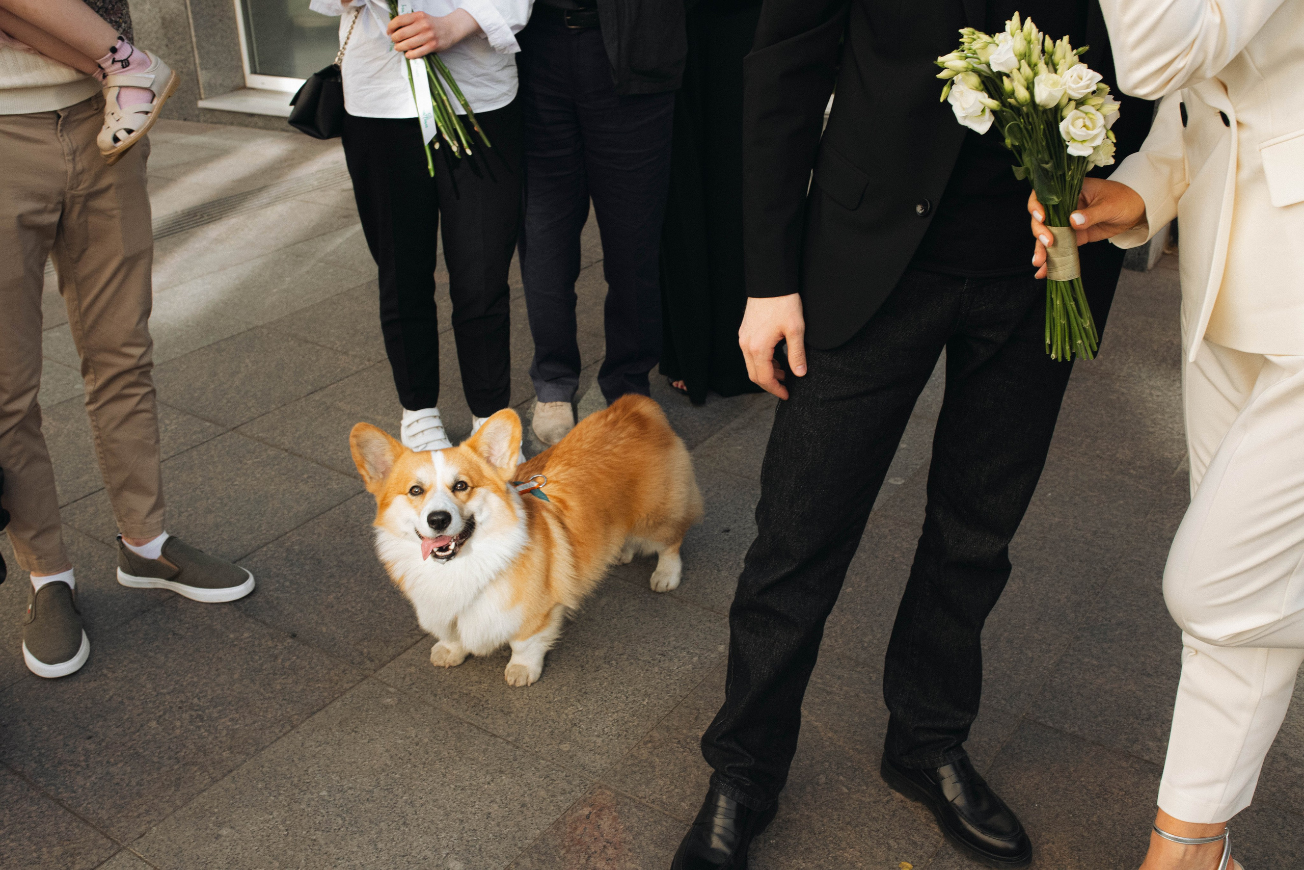Paris in Moscow. Свадебный фотограф Лейсан Цейнштейн
