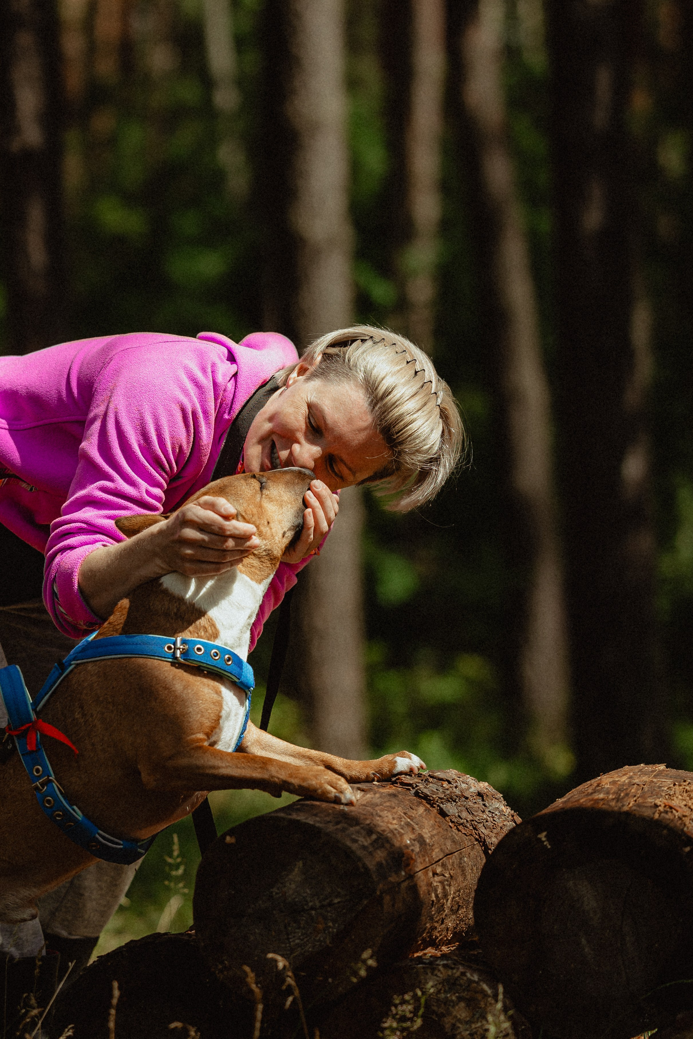 Выездной дог-тренинг от школы «Шерсть имею»