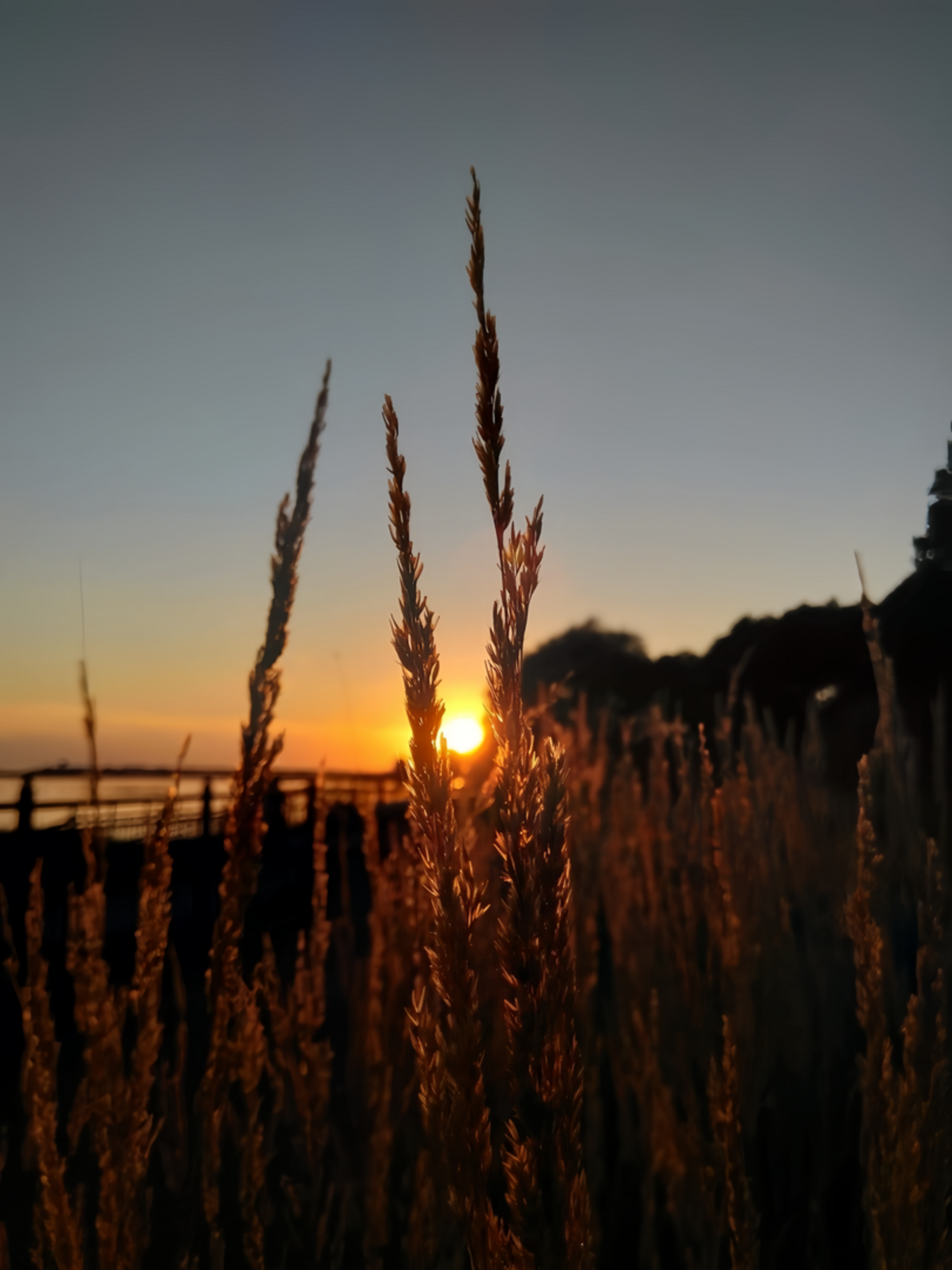 Sunset. Надежда Козлова, фотограф, Санкт — Петербург