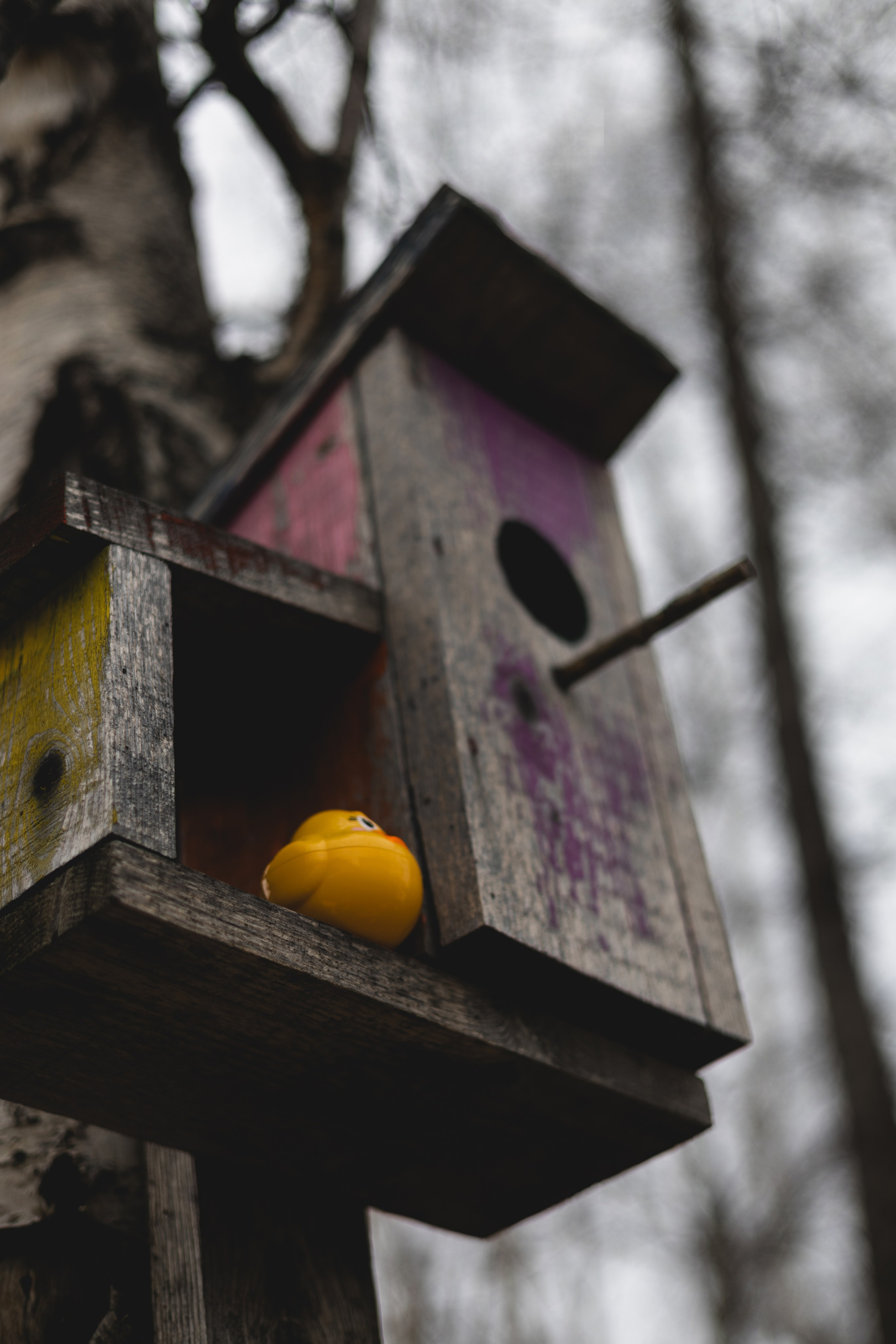 Детский портрет. «Дождь». Портретный фотограф в Южно-Сахалинске Каминская Юлия