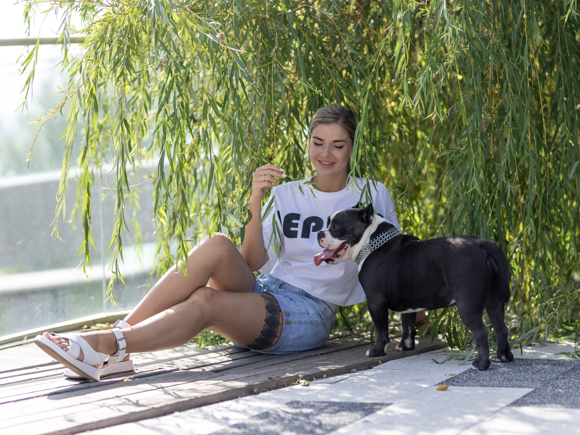 Марси и Катя. Фотограф-анималист в Москве Кириллова Татьяна