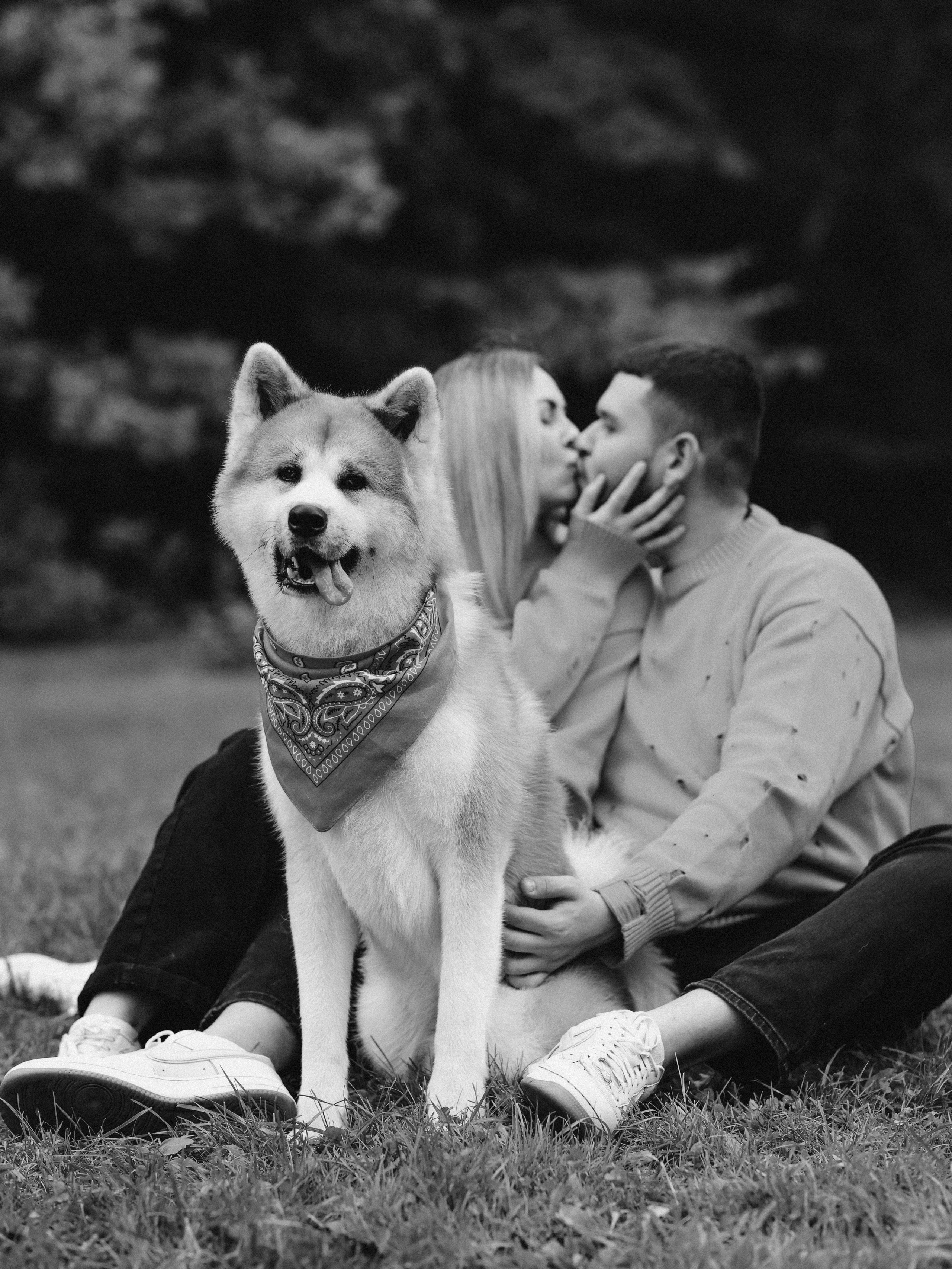 Гранд, Вика и Степан. Фотограф-анималист в Москве Кириллова Татьяна