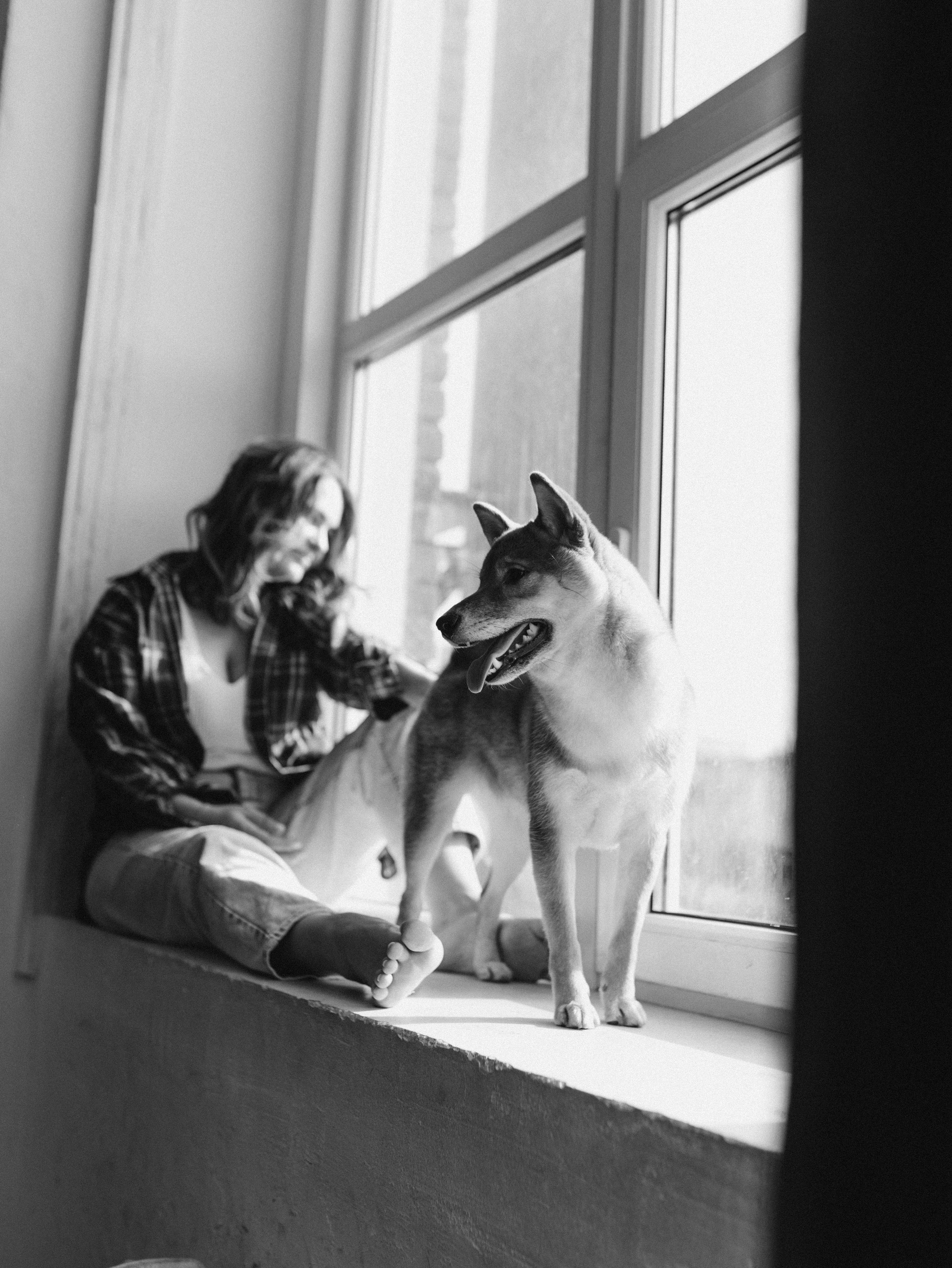 Мика и Настя. Фотограф-анималист в Москве Кириллова Татьяна