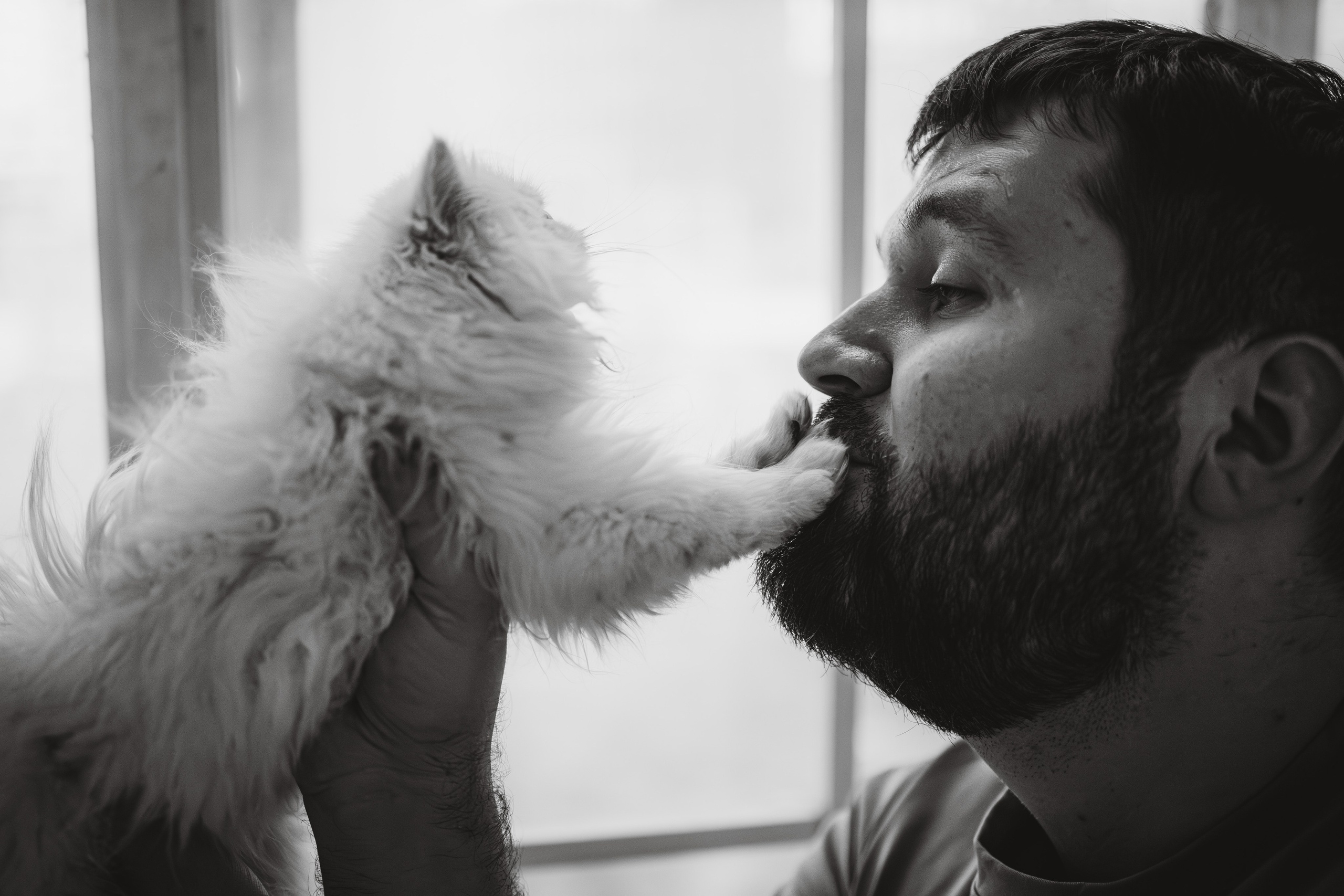 Султан, Мэй Мэй и Шанталь и их семья