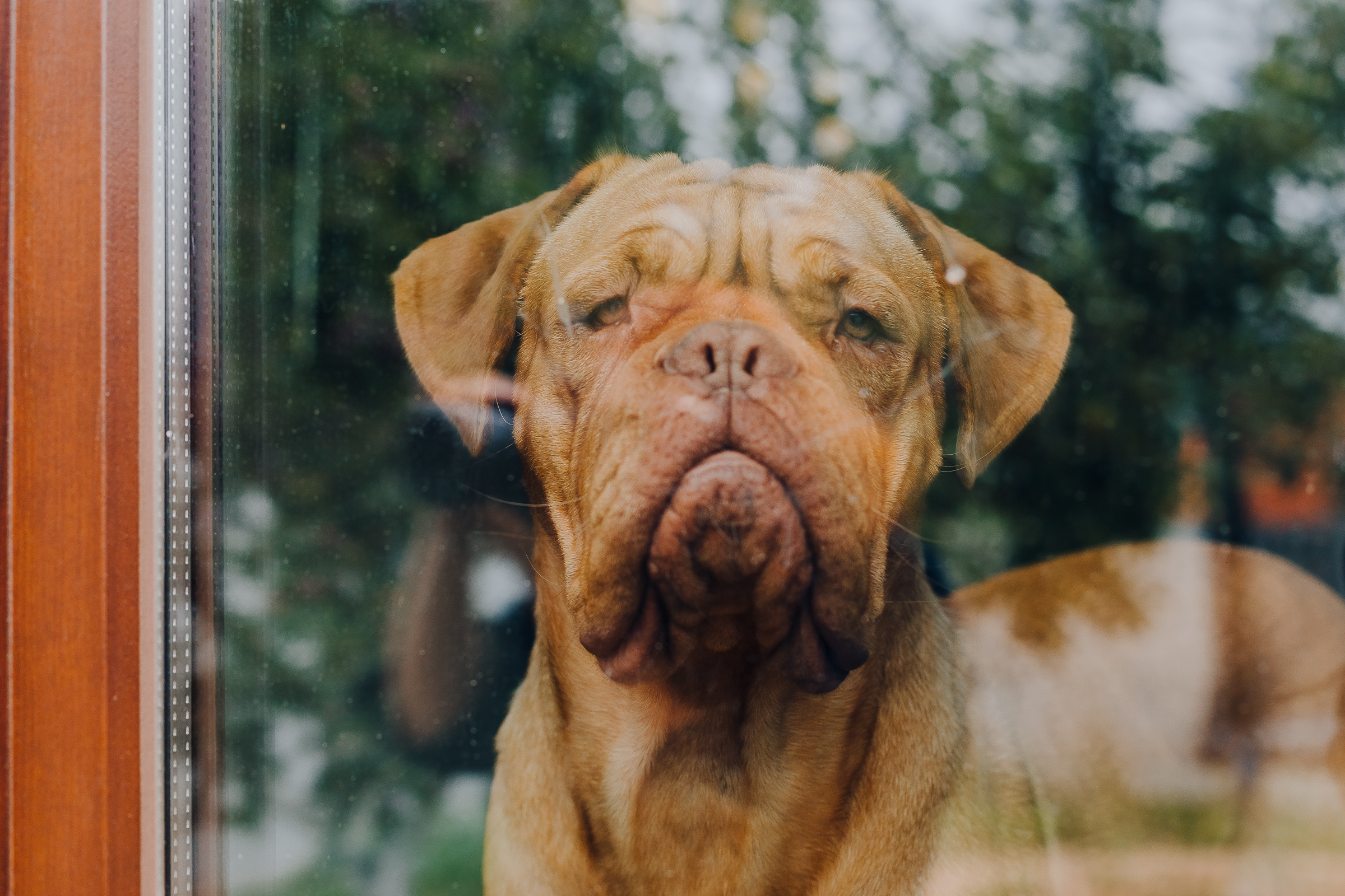 Все вместе дома. Семейный фотограф в Минске Саша Павлюк