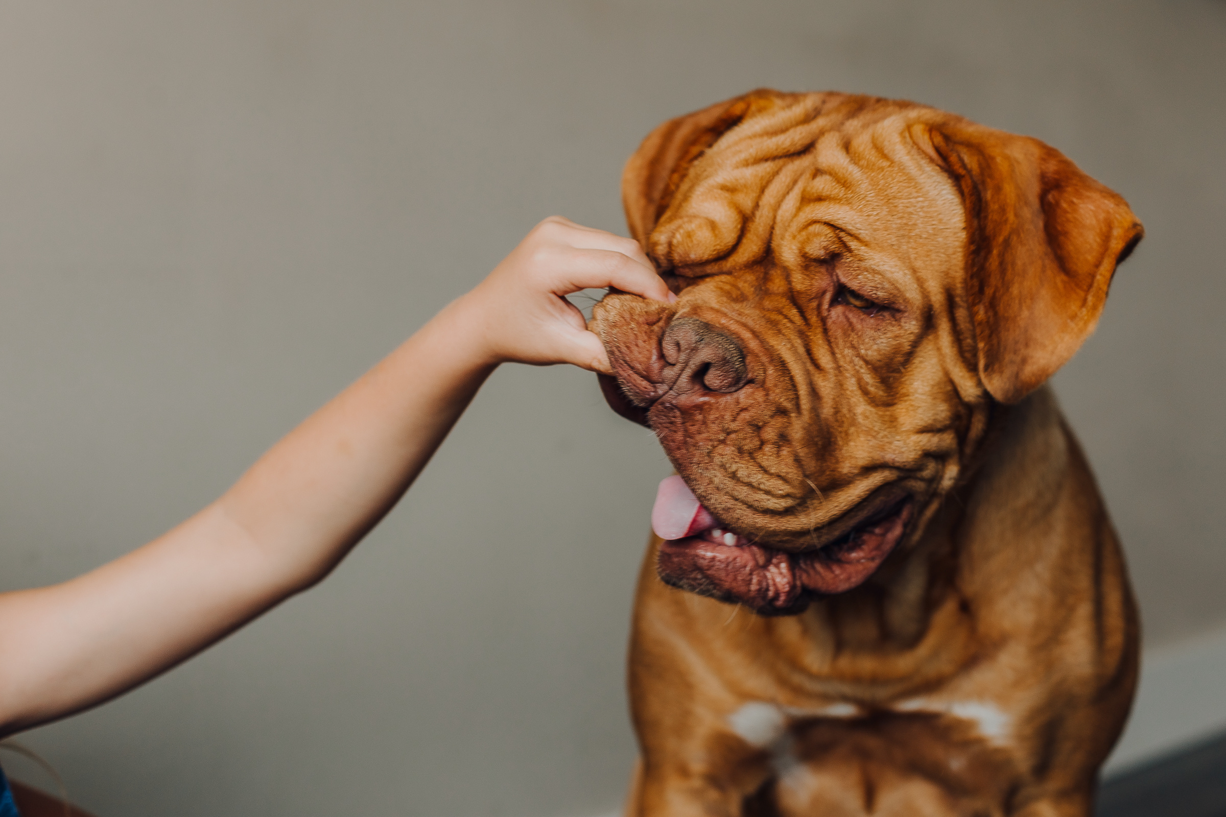 Все вместе дома. Семейный фотограф в Минске Саша Павлюк