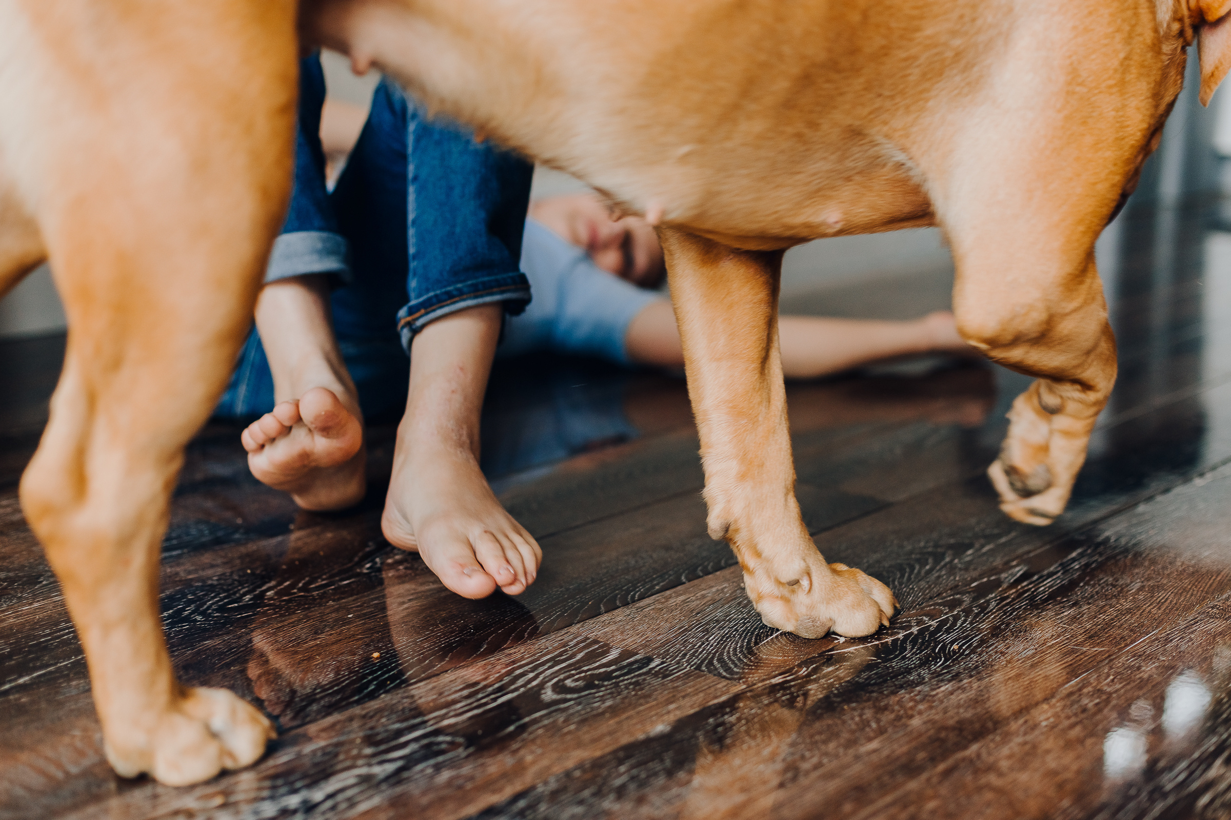 Все вместе дома. Семейный фотограф в Минске Саша Павлюк