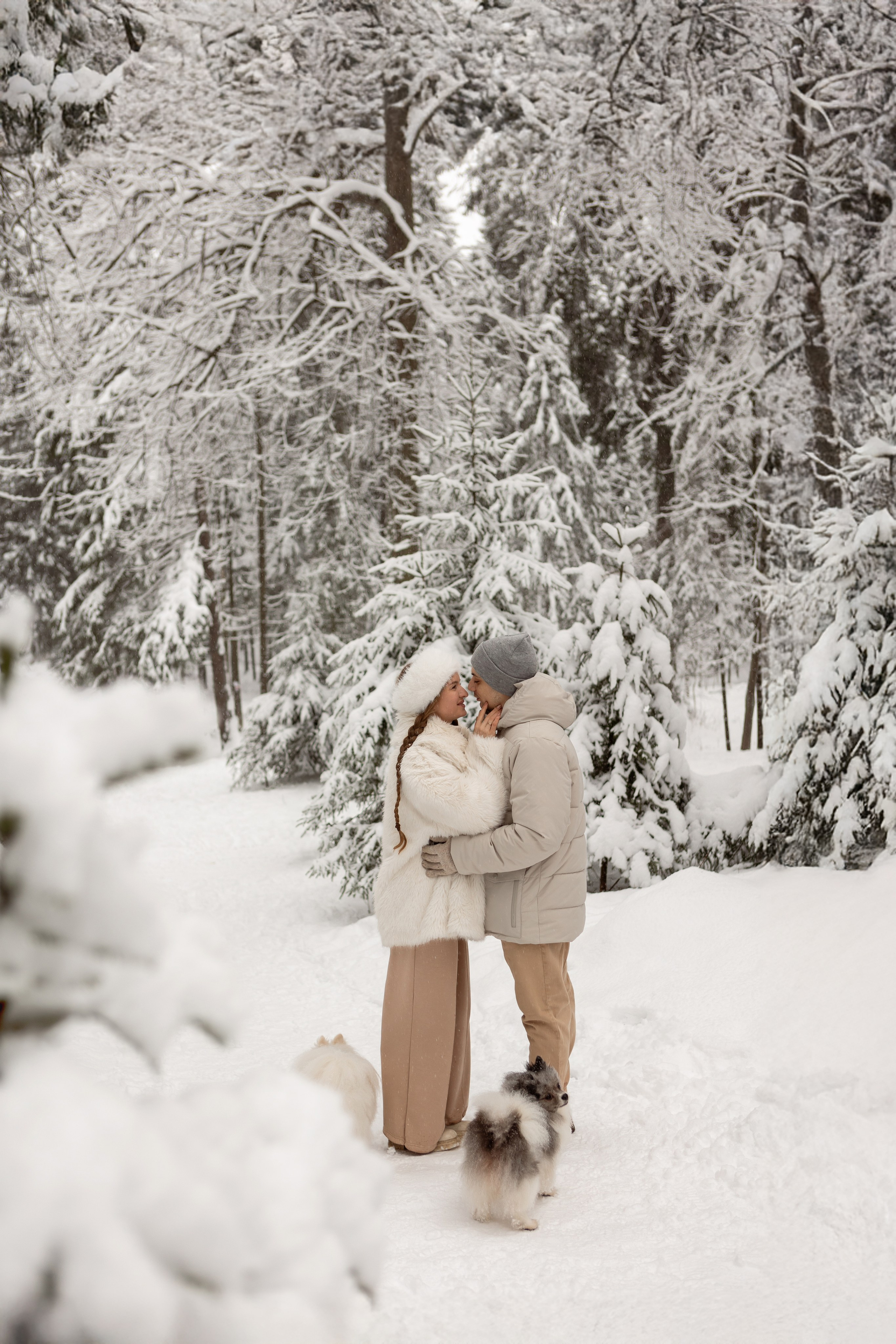 Новогодняя фотосессия с собачками в шуваловском парке. Свадебный фотограф в СПБ | Санкт-Петербурге Анастасия Рахимгулова