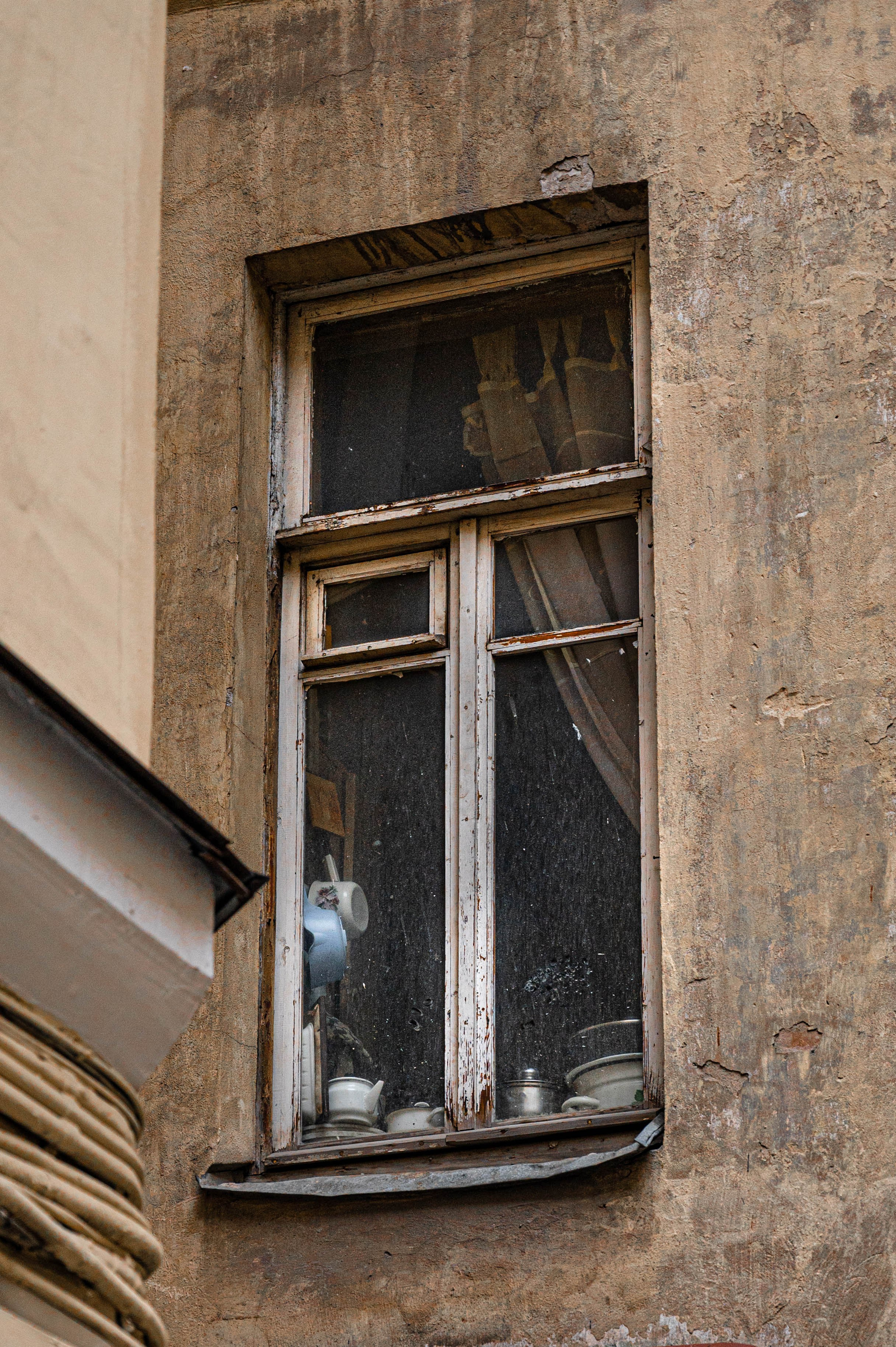 Репортажная фотосъёмка в Петербурге | Портретный фотограф Ольга Берёза. Экскурсовод в Санкт-Петербурге | Ольга Колоскова