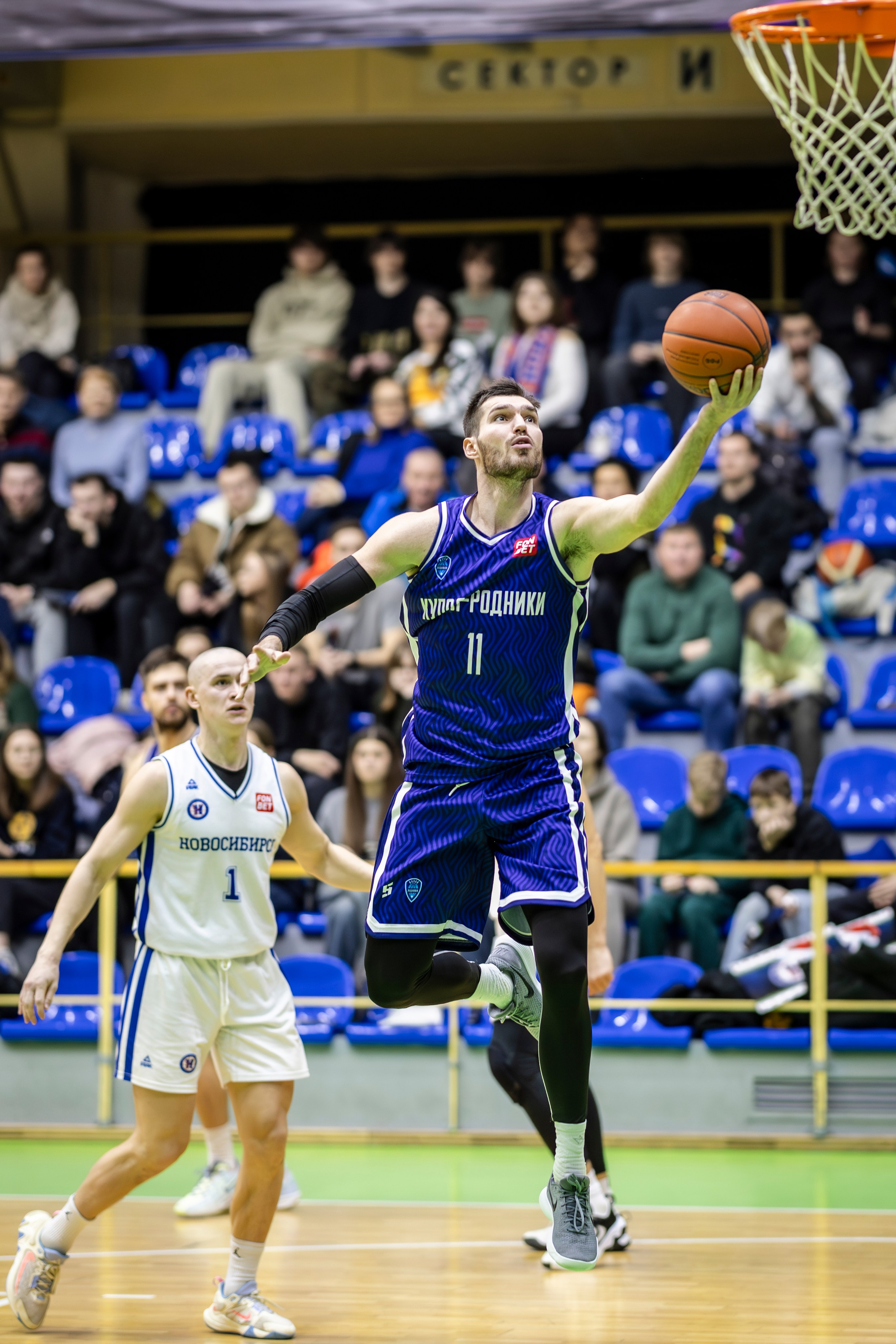 БК Новосибирск. Bertran Ordo