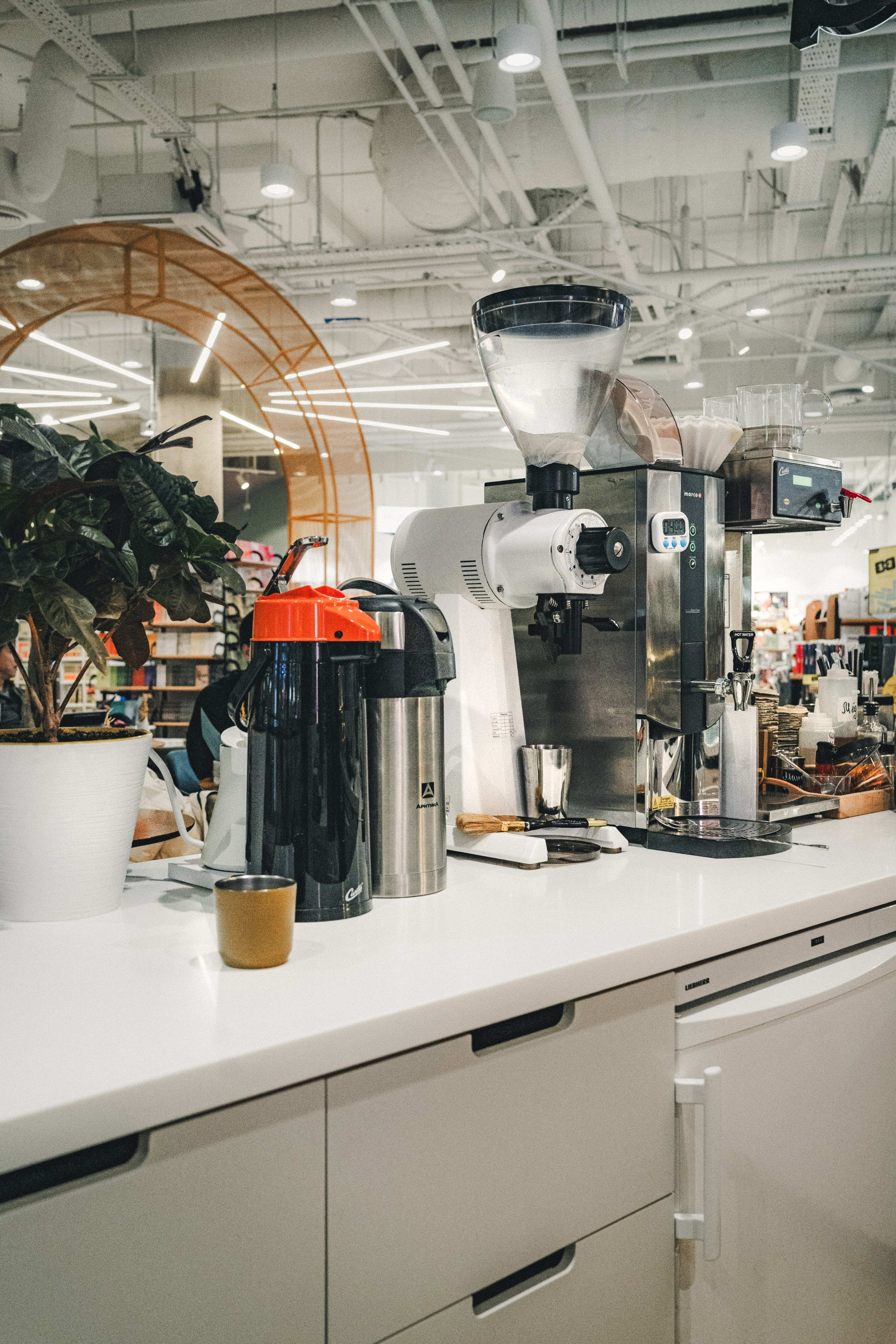 Clara. Фотограф Илья К. в Москве