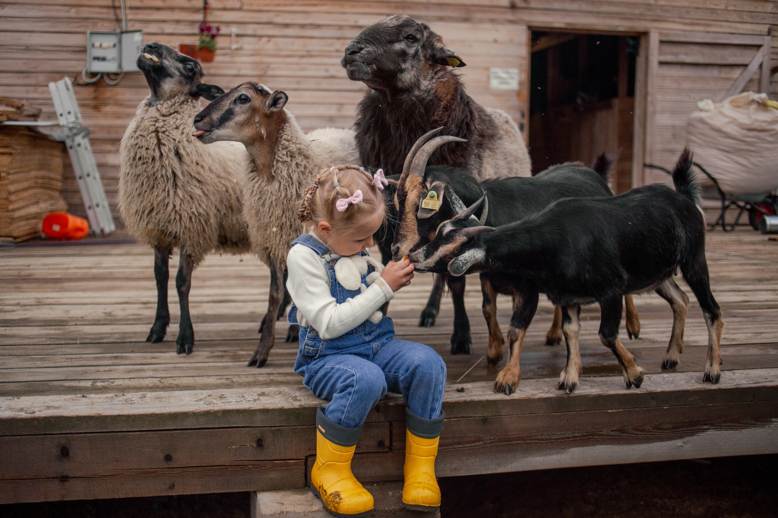 Детская фотосессия на ферме в СПб