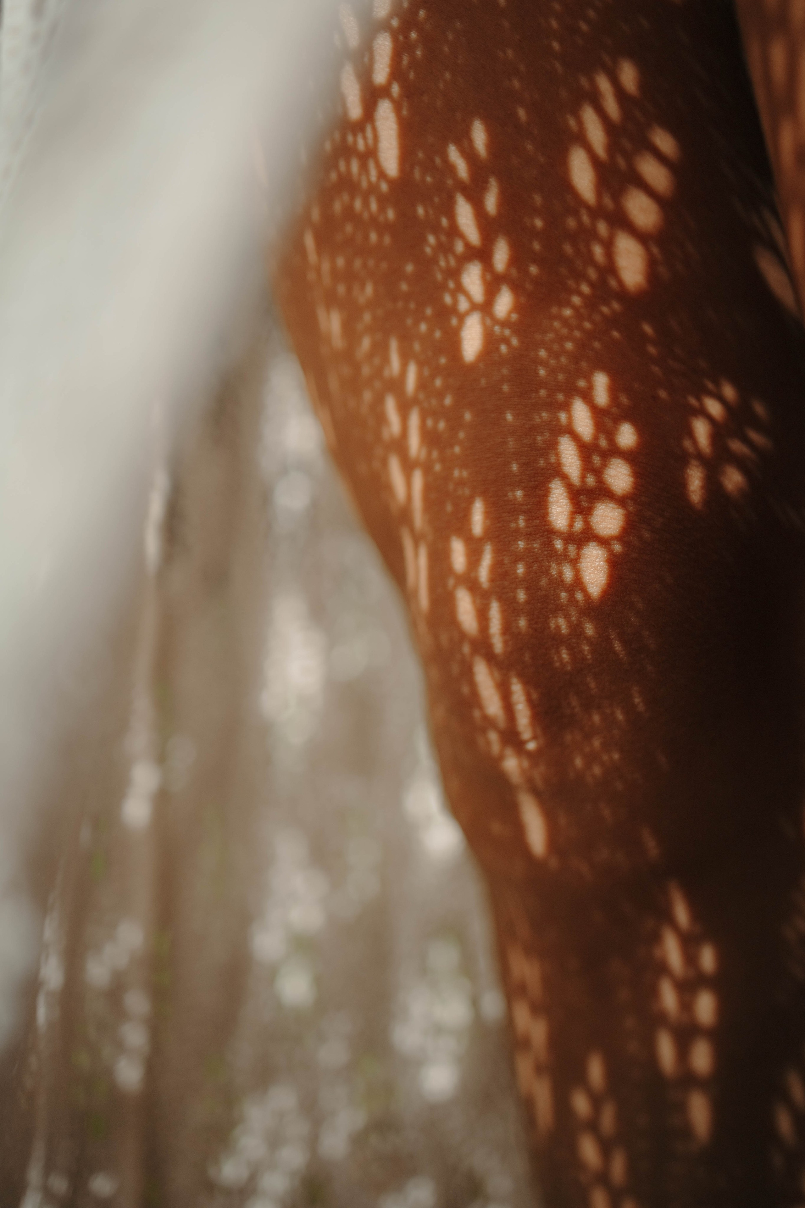 Кристина. Екатерина Пашкова, фотограф, видеограф в Томске