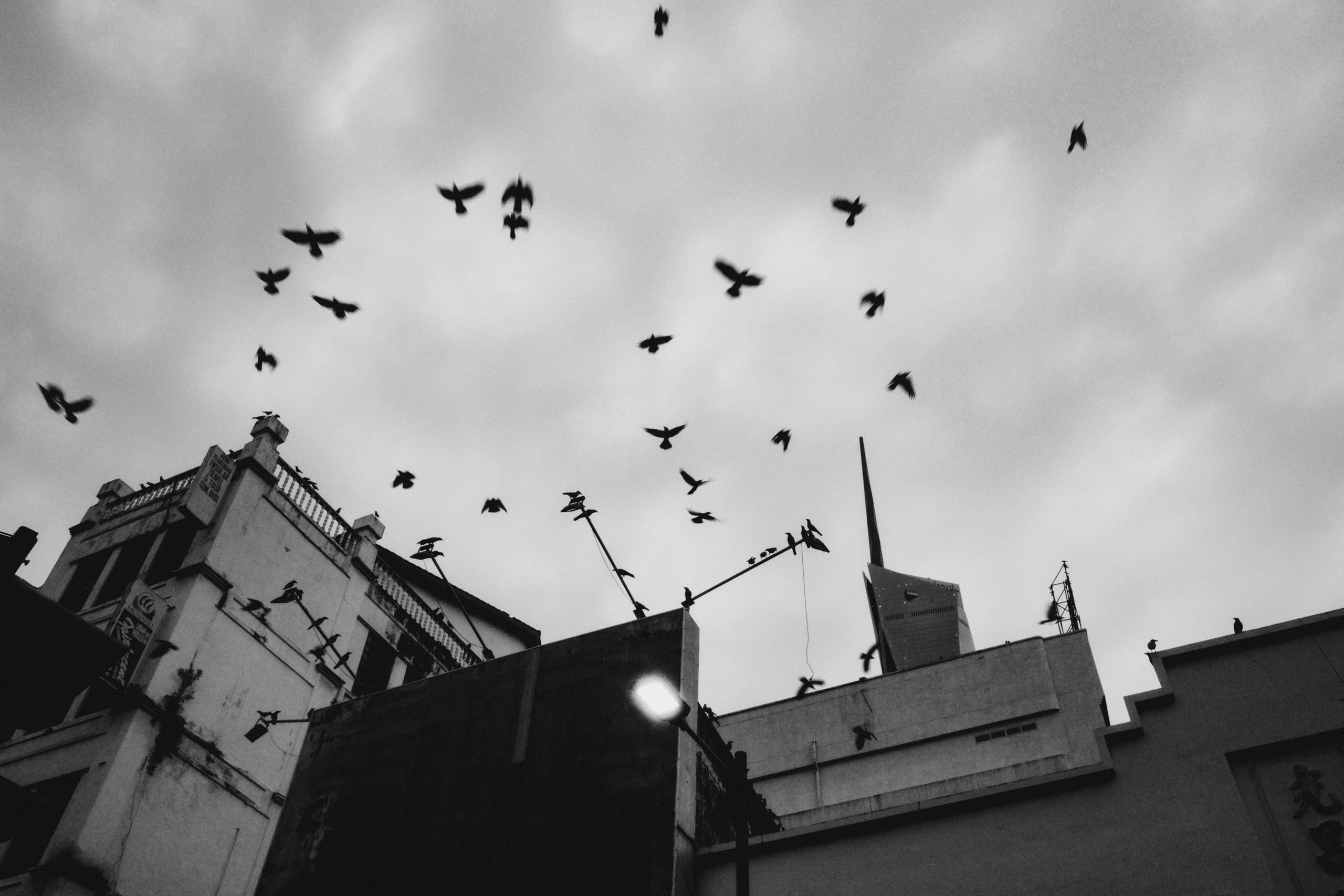 Малайзия плёнка. Свадебный фотограф в Спб Сергей Баланян