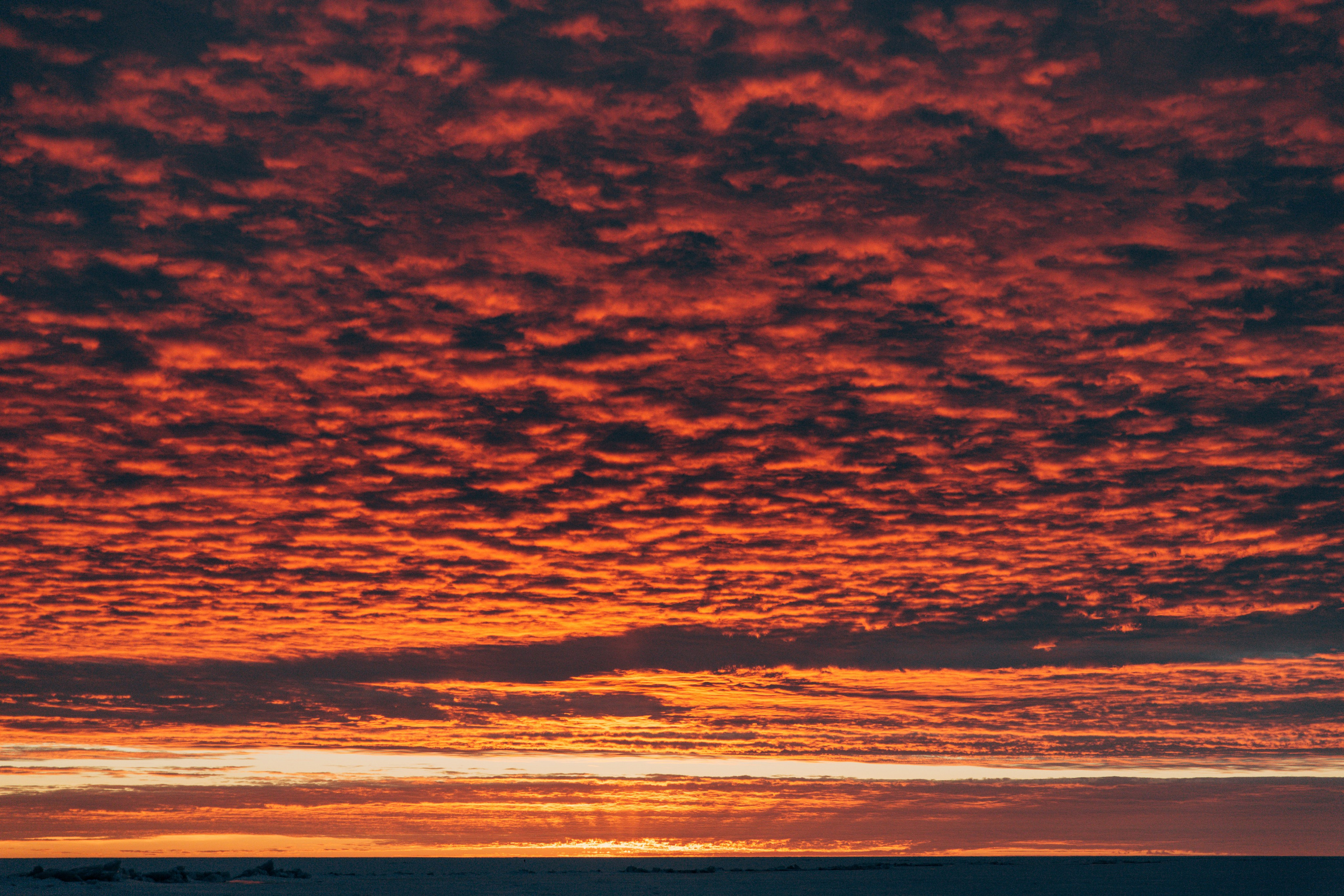 Идеи для фотосессии в СПб: Финский залив на закате (портреты)