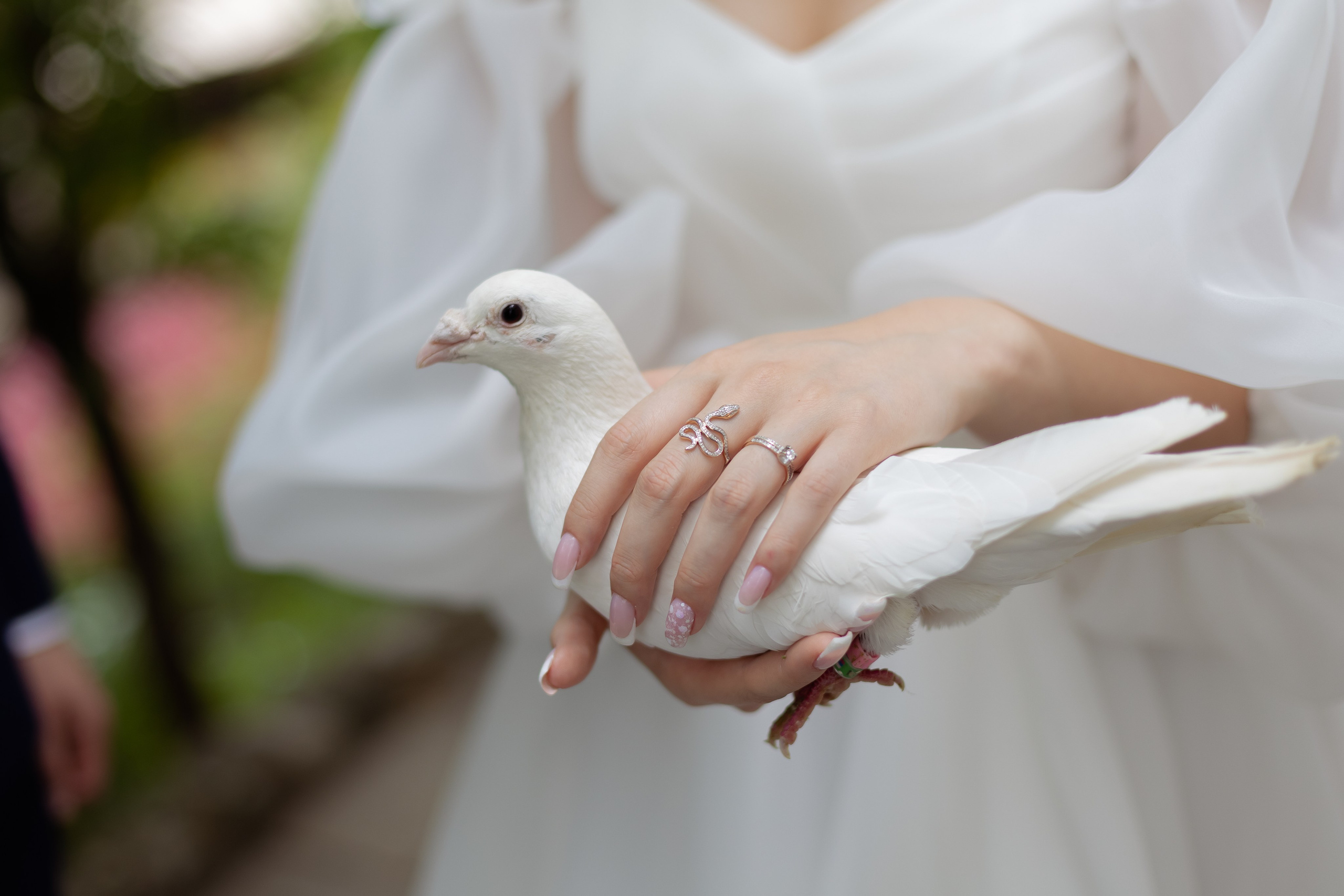Свадьба Александр и Анастасия. Репортажный фотограф видеограф в Москве Ольга Плаксина