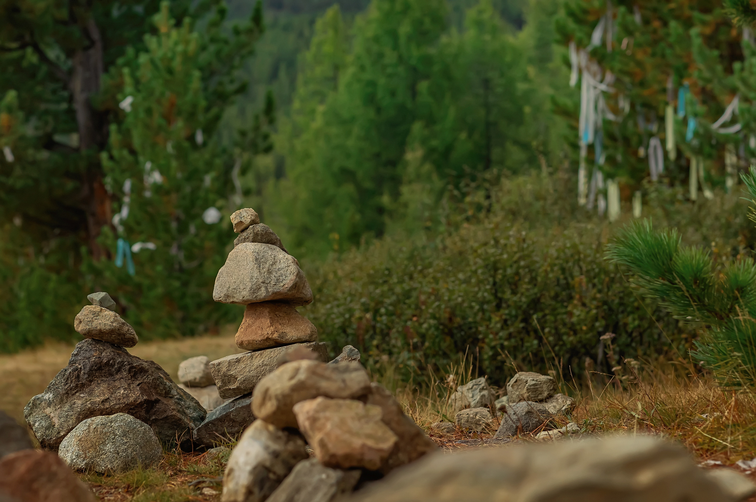 Алтай. Фотограф в Москве и Санкт-Петербурге Елена Потапова
