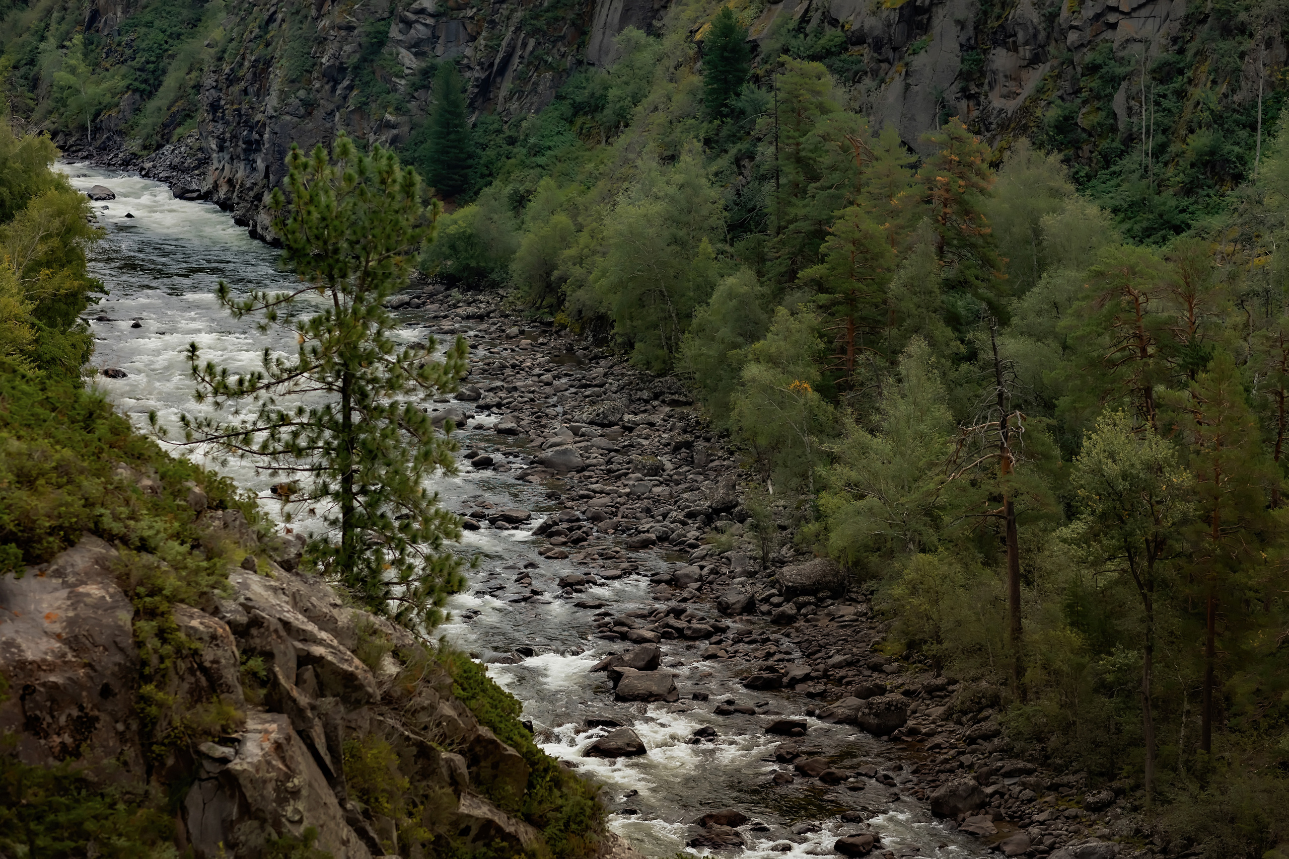 Алтай. Фотограф в Москве и Санкт-Петербурге Елена Потапова
