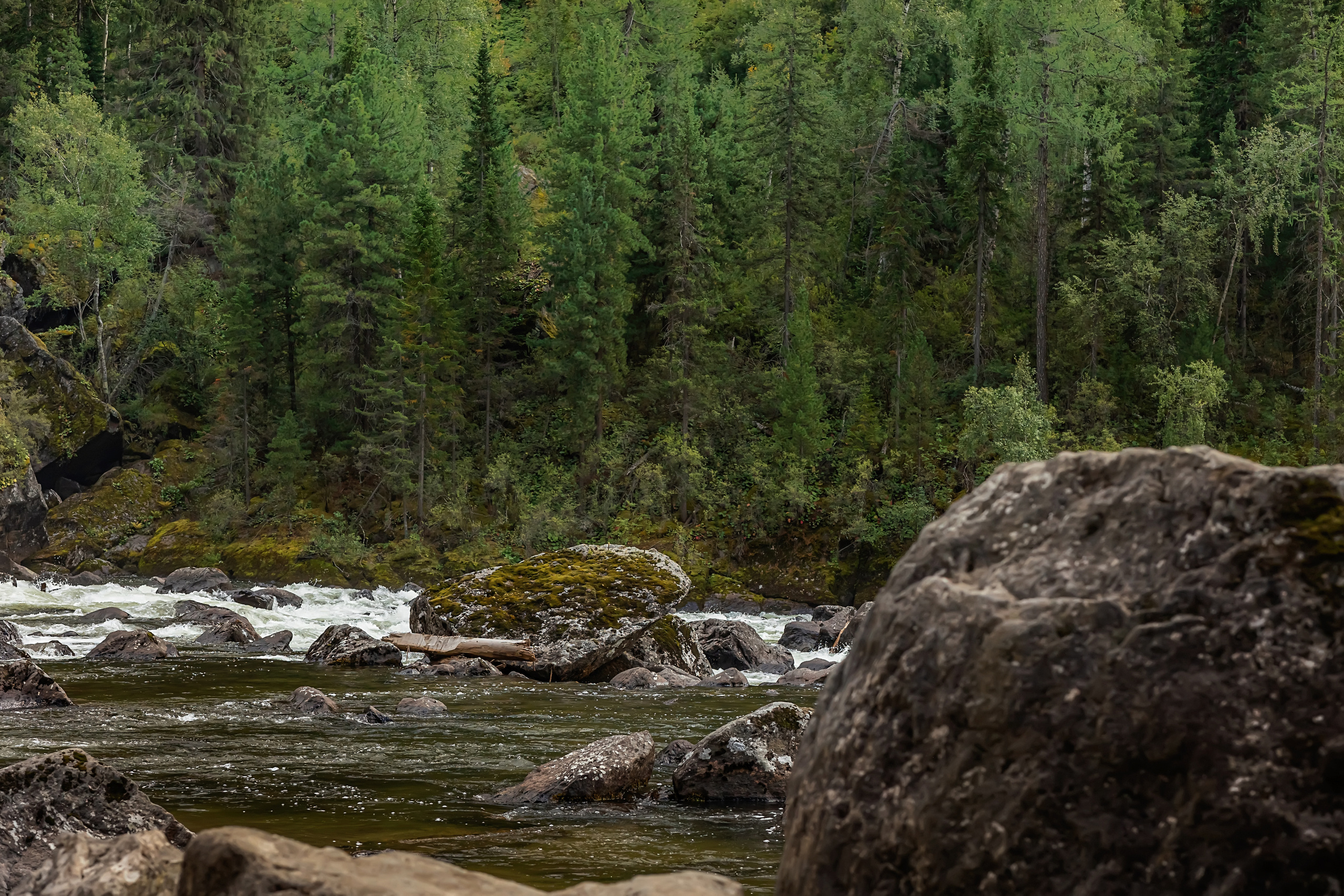 Алтай. Фотограф в Москве и Санкт-Петербурге Елена Потапова