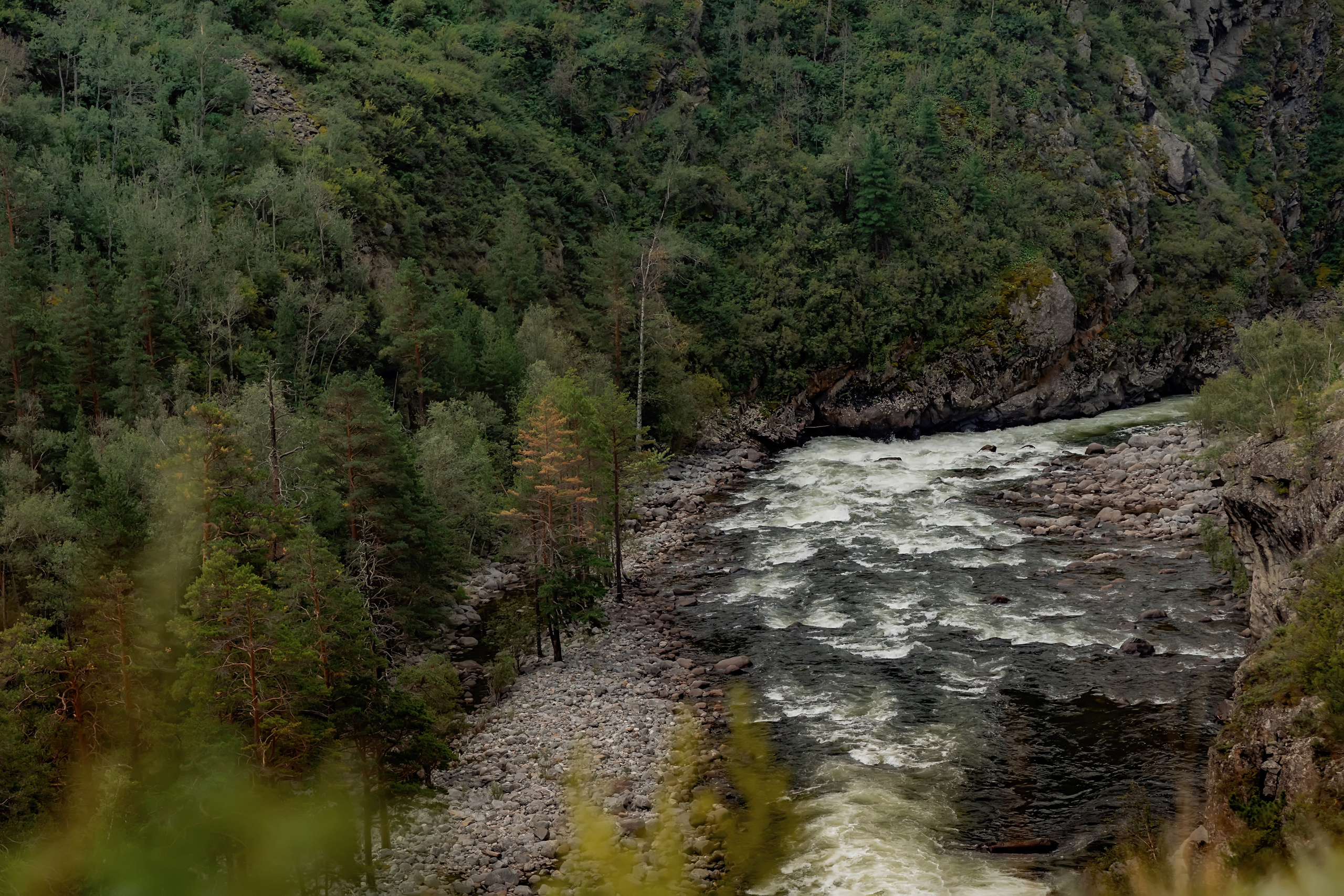 Алтай. Фотограф в Москве и Санкт-Петербурге Елена Потапова